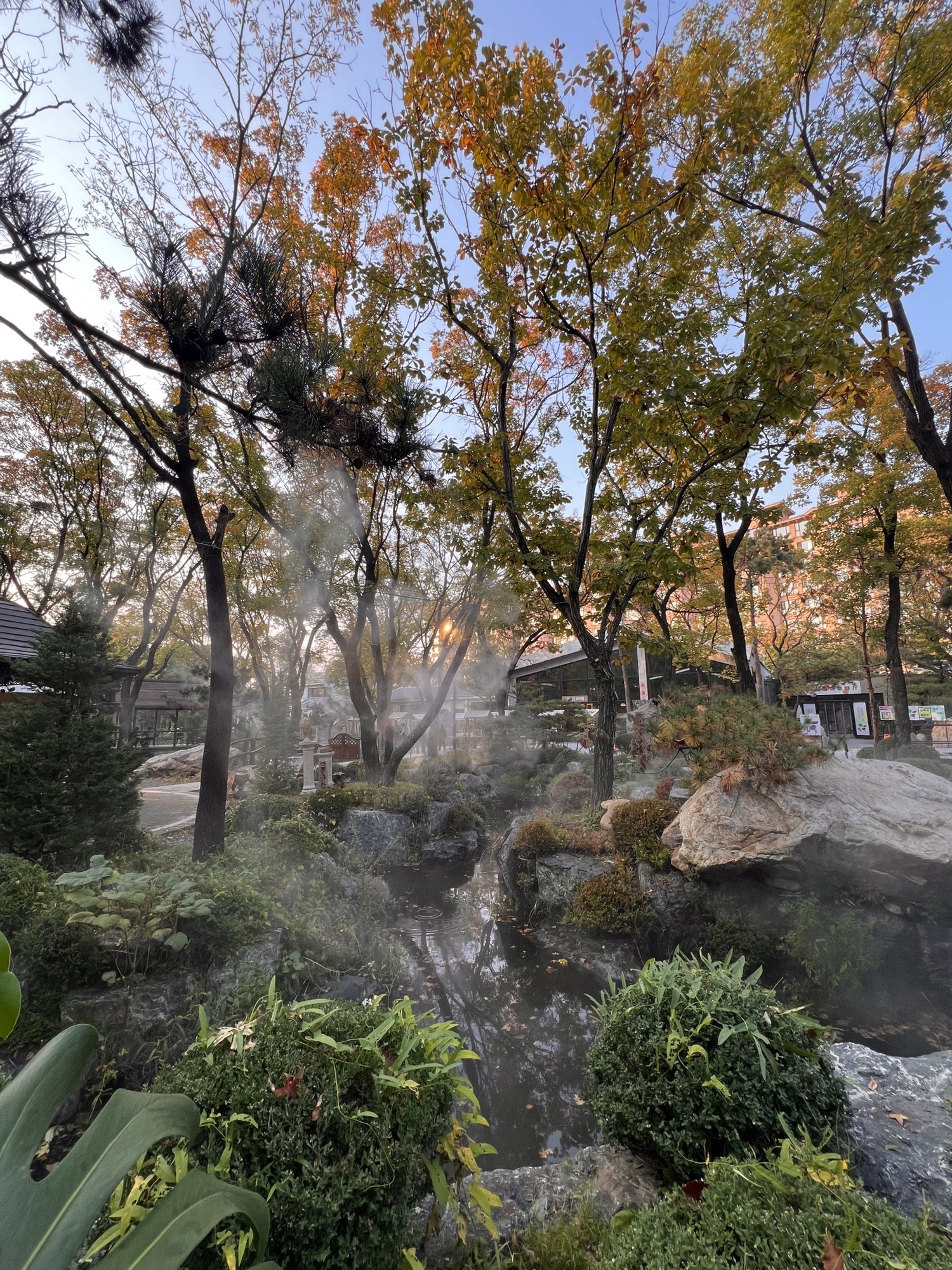 熙古艺术村旅行图片 1