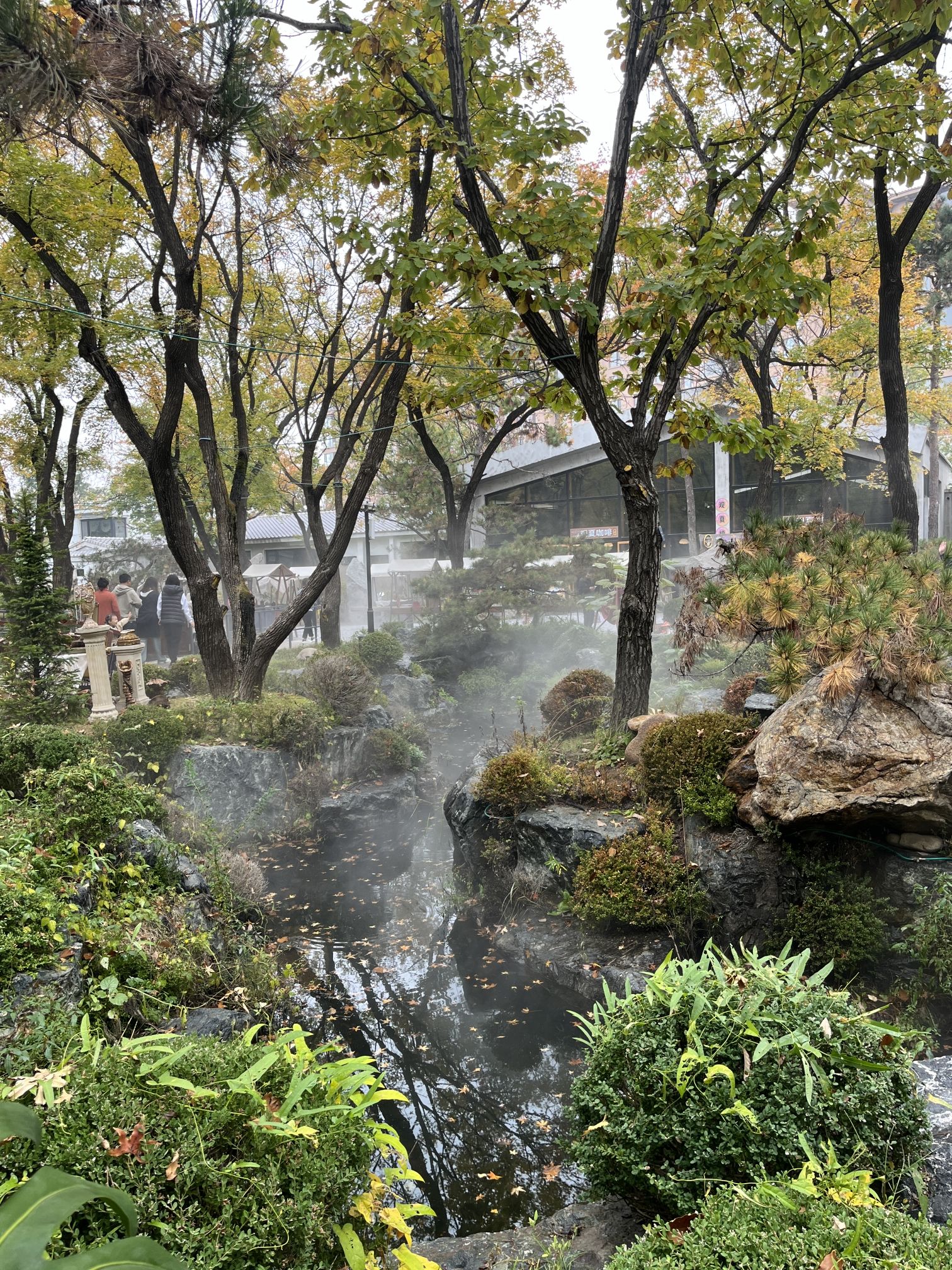 熙古艺术村旅行图片 1