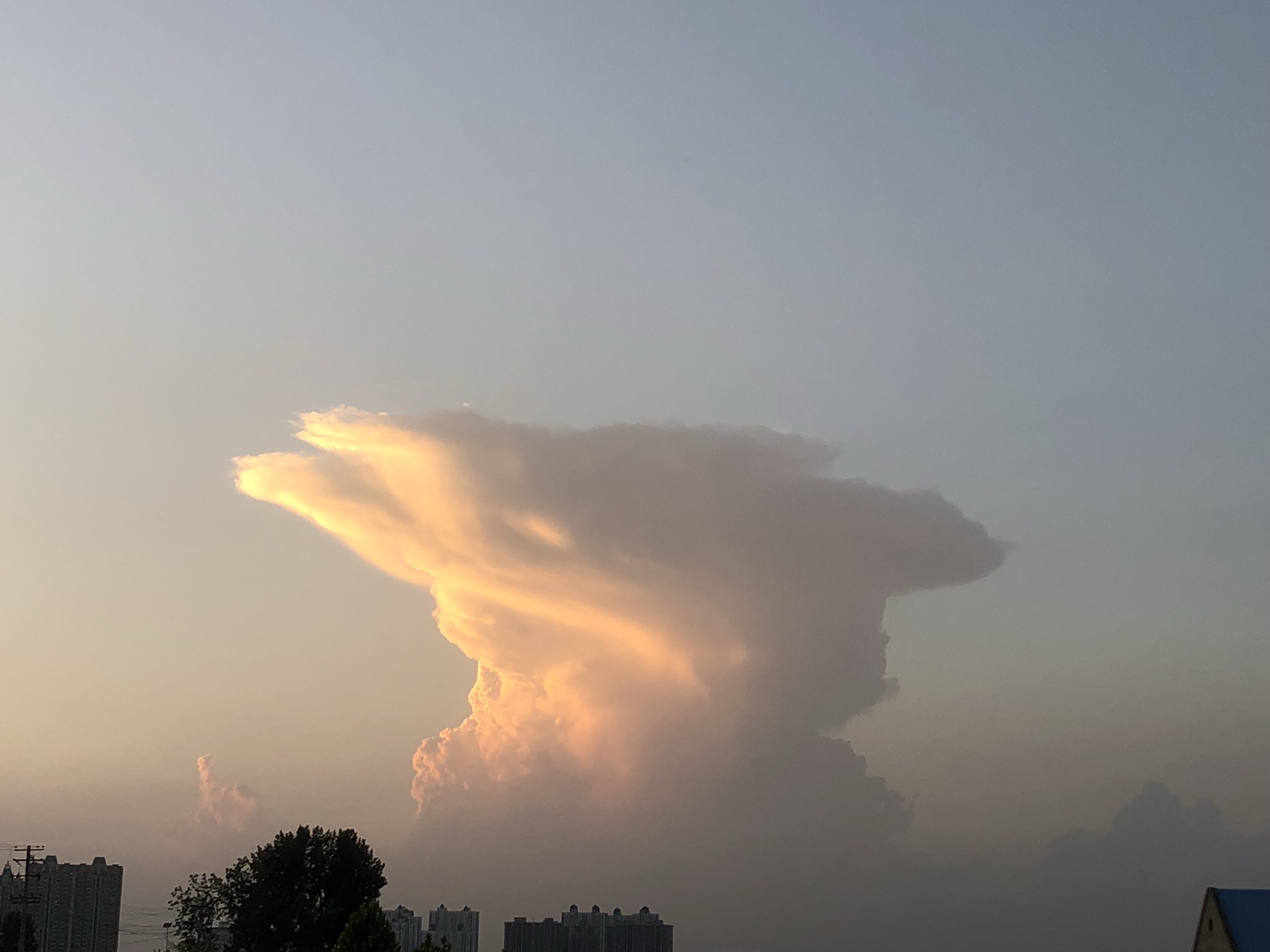伊河湿地公园旅行图片 3