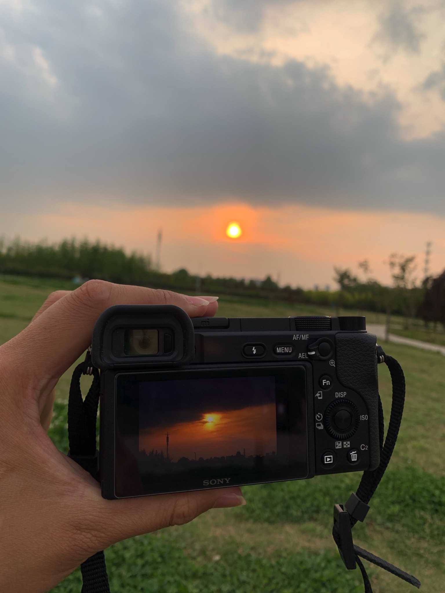 伊河湿地公园旅行图片 1