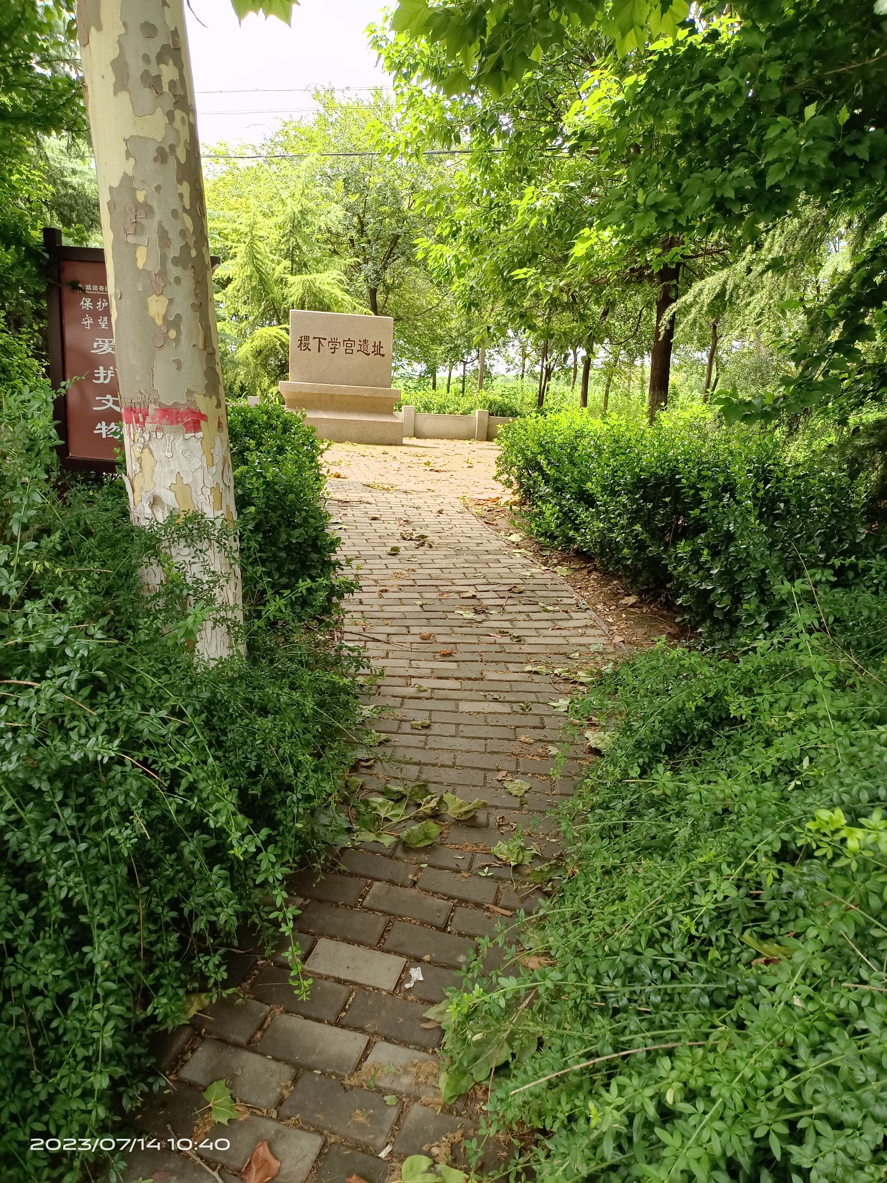 稷下学宫遗址旅行图片 1