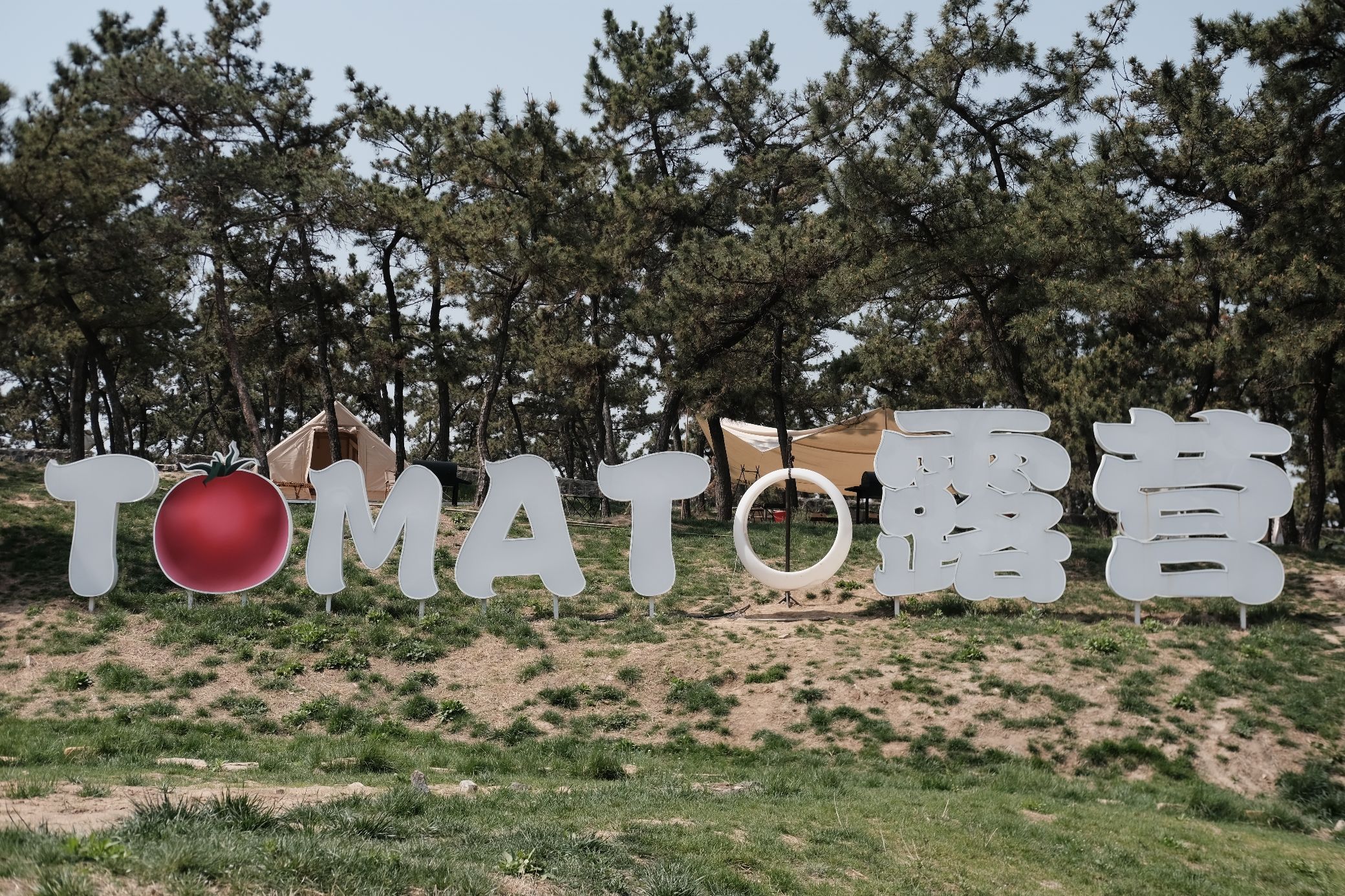 TOMATO采摘露营基地(锦园农场)旅行图片 1
