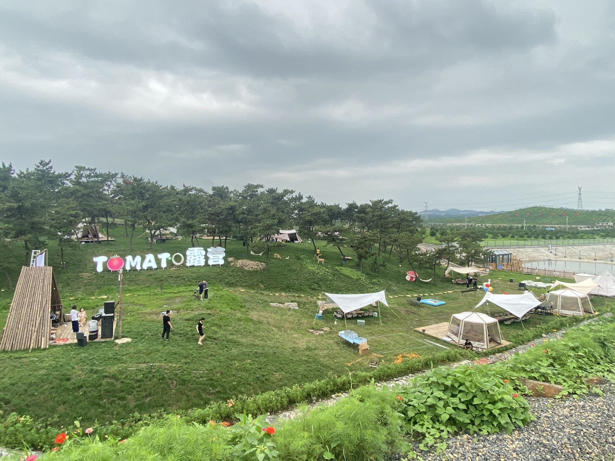 TOMATO采摘露营基地(锦园农场)旅行图片 1