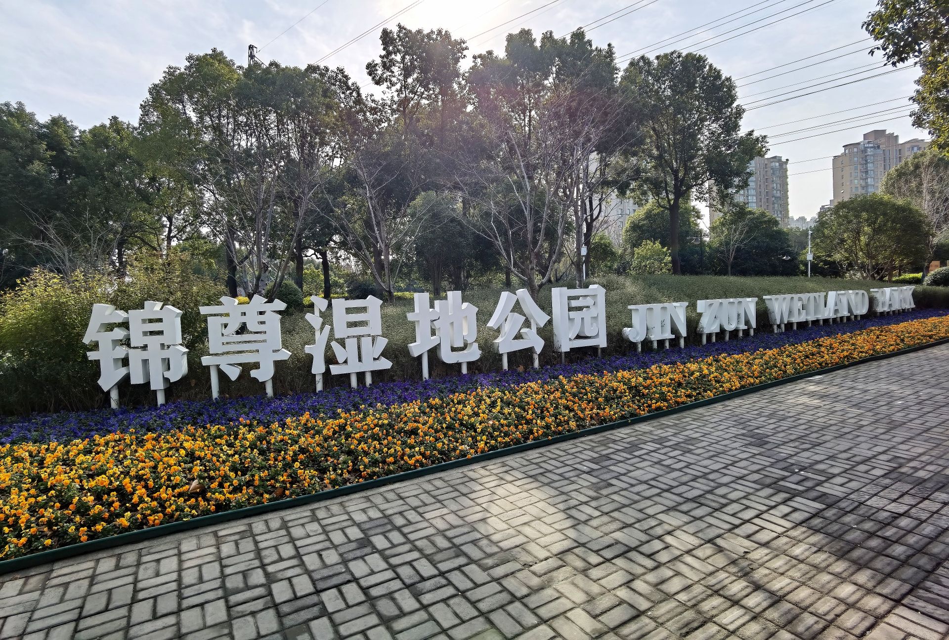 锦尊湿地公园