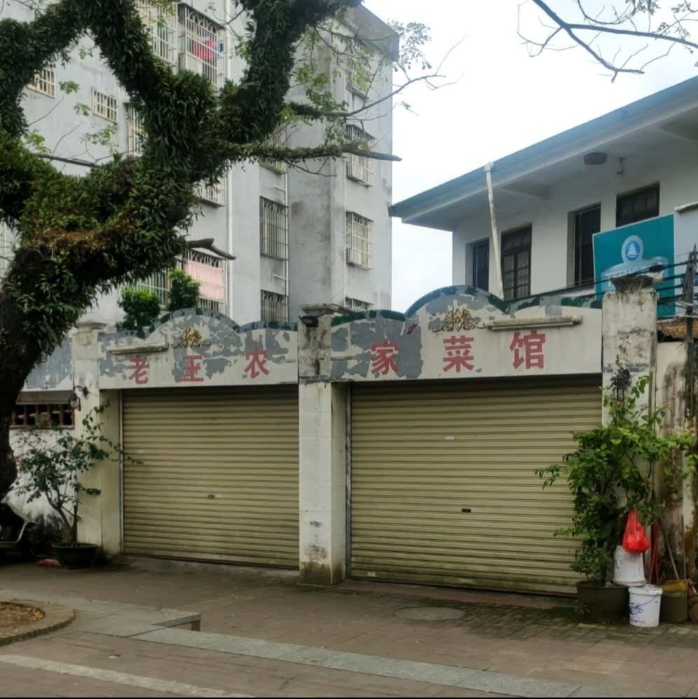 老王农家菜馆