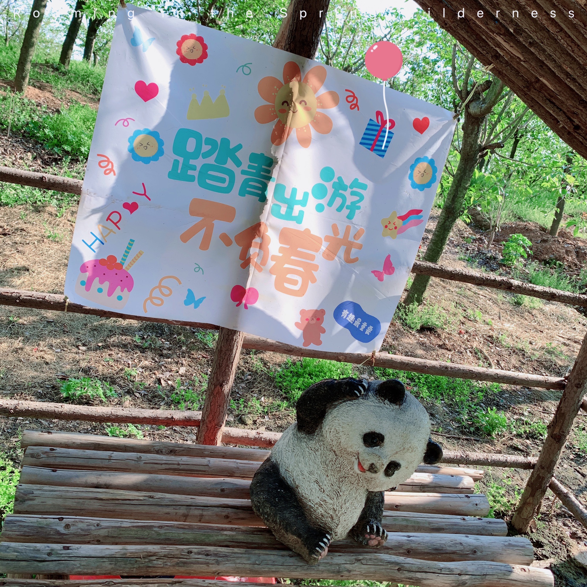 南京森林大世界旅行图片 1