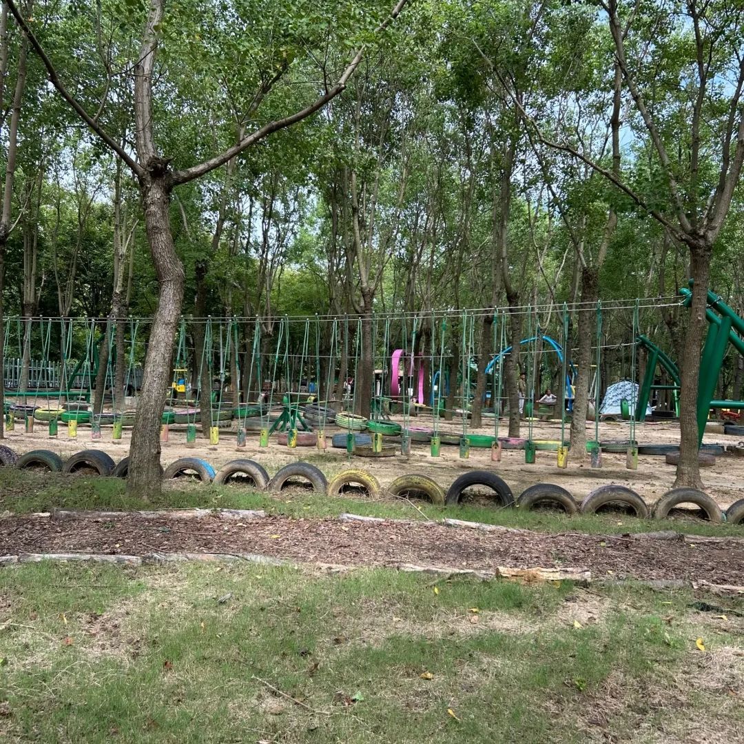 南京森林大世界旅行图片 1
