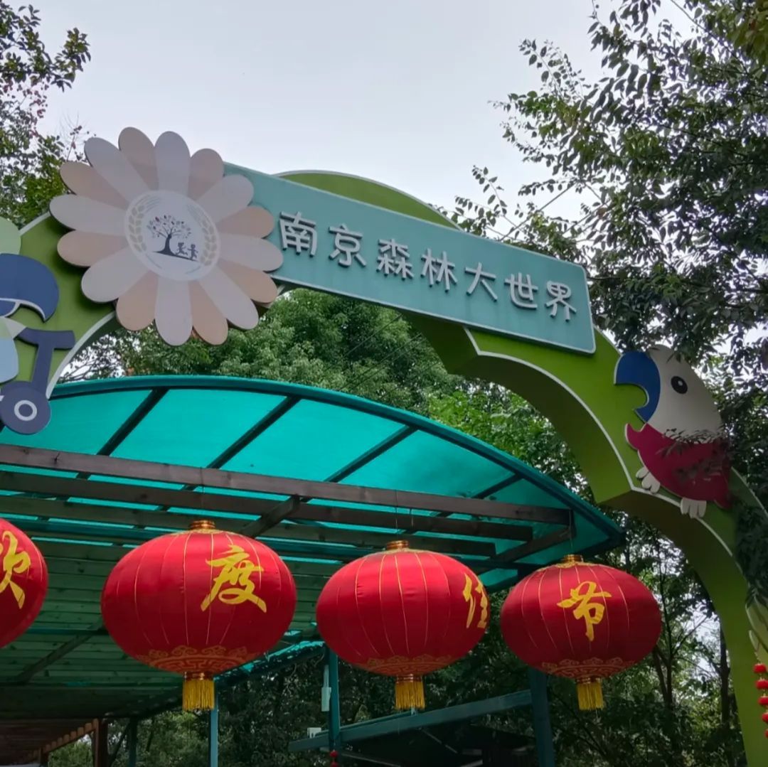 南京森林大世界旅行图片 2