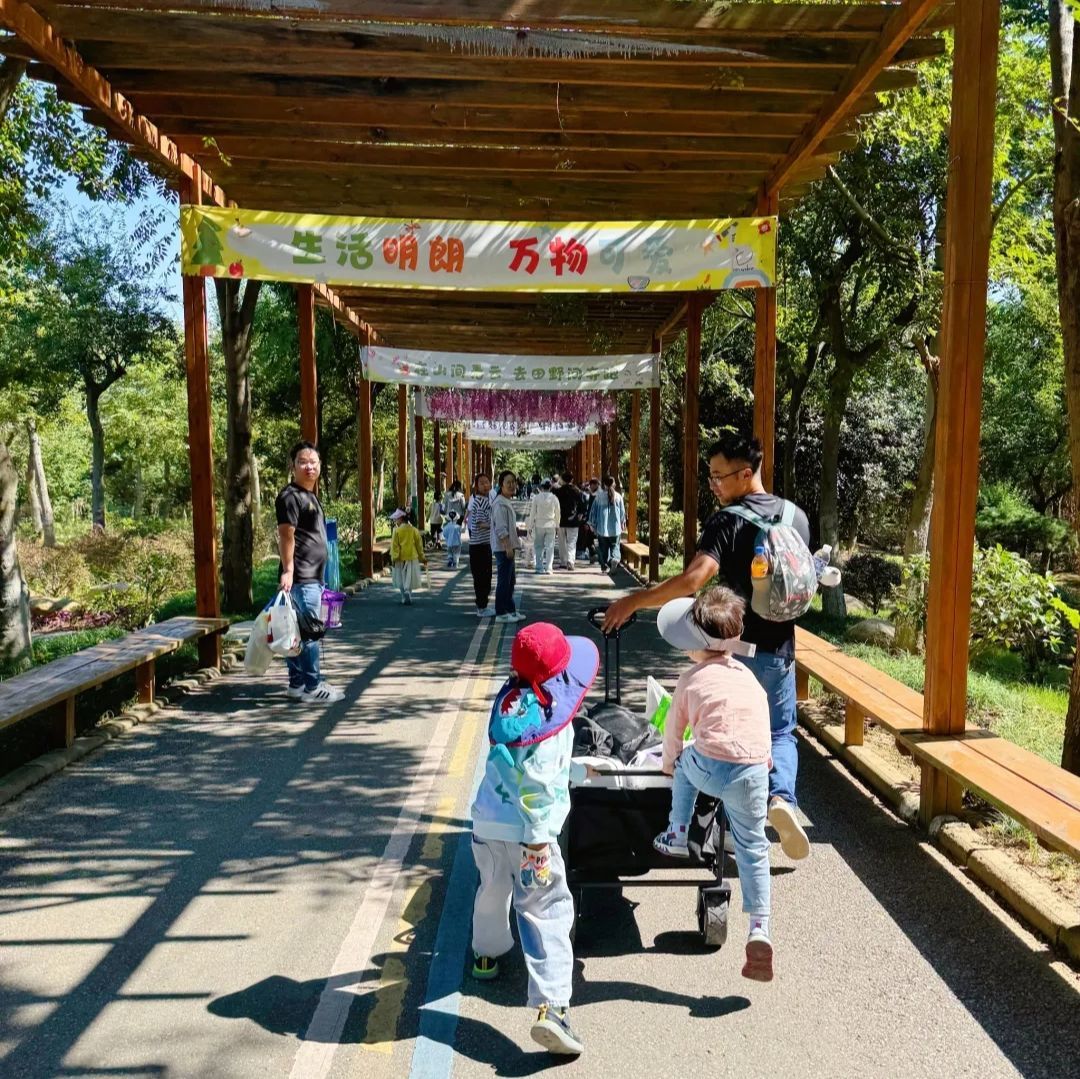南京森林大世界旅行图片 3