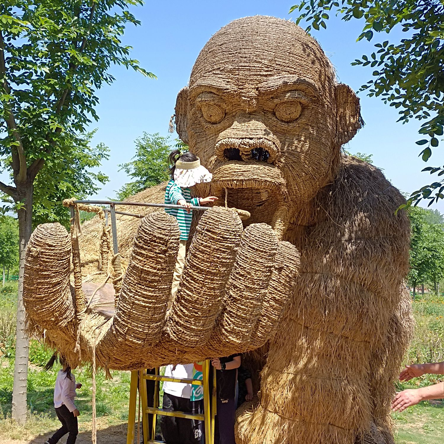 南京森林大世界旅行图片 2
