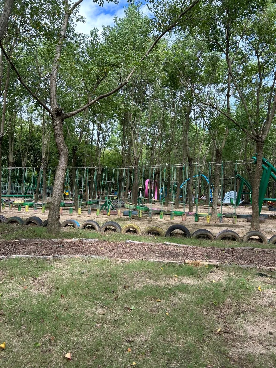 南京森林大世界旅行图片 1
