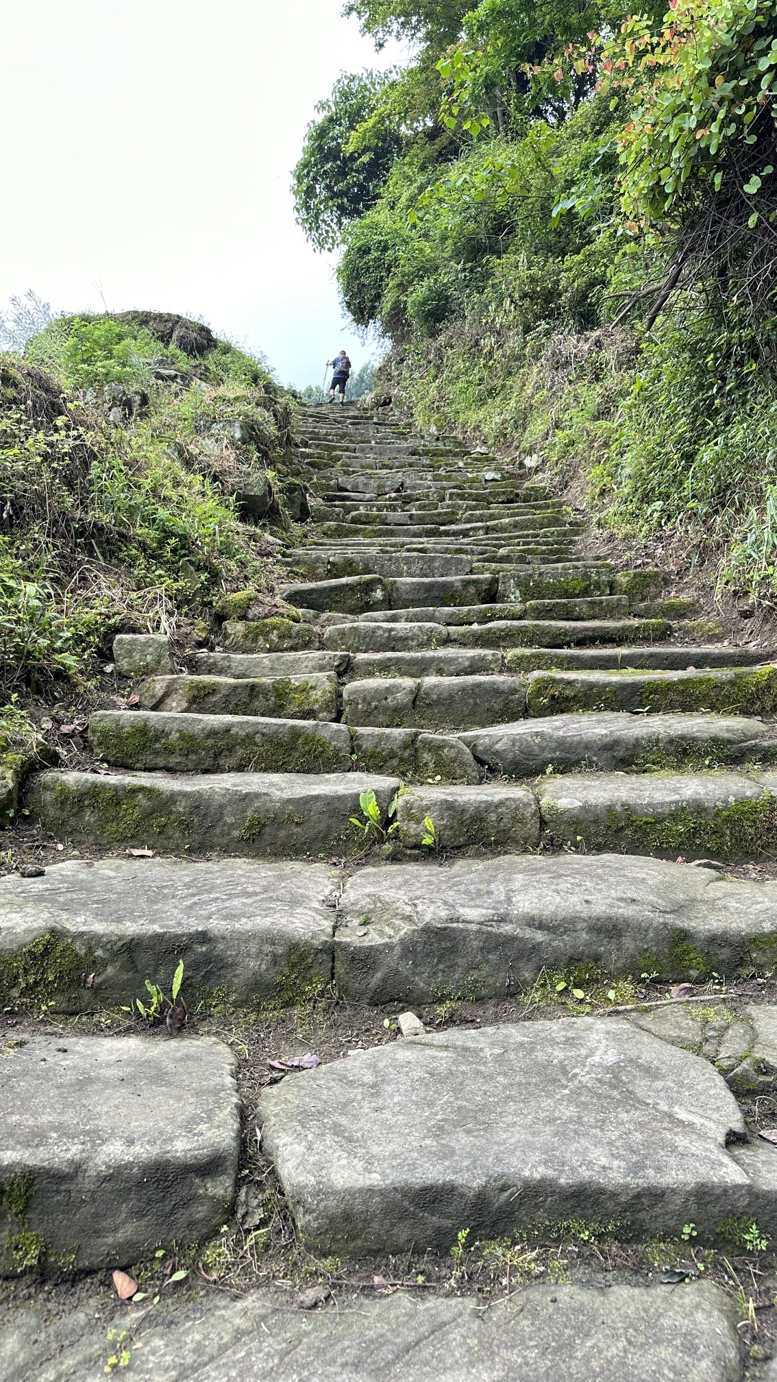 百步梯摩崖石刻旅行图片 3