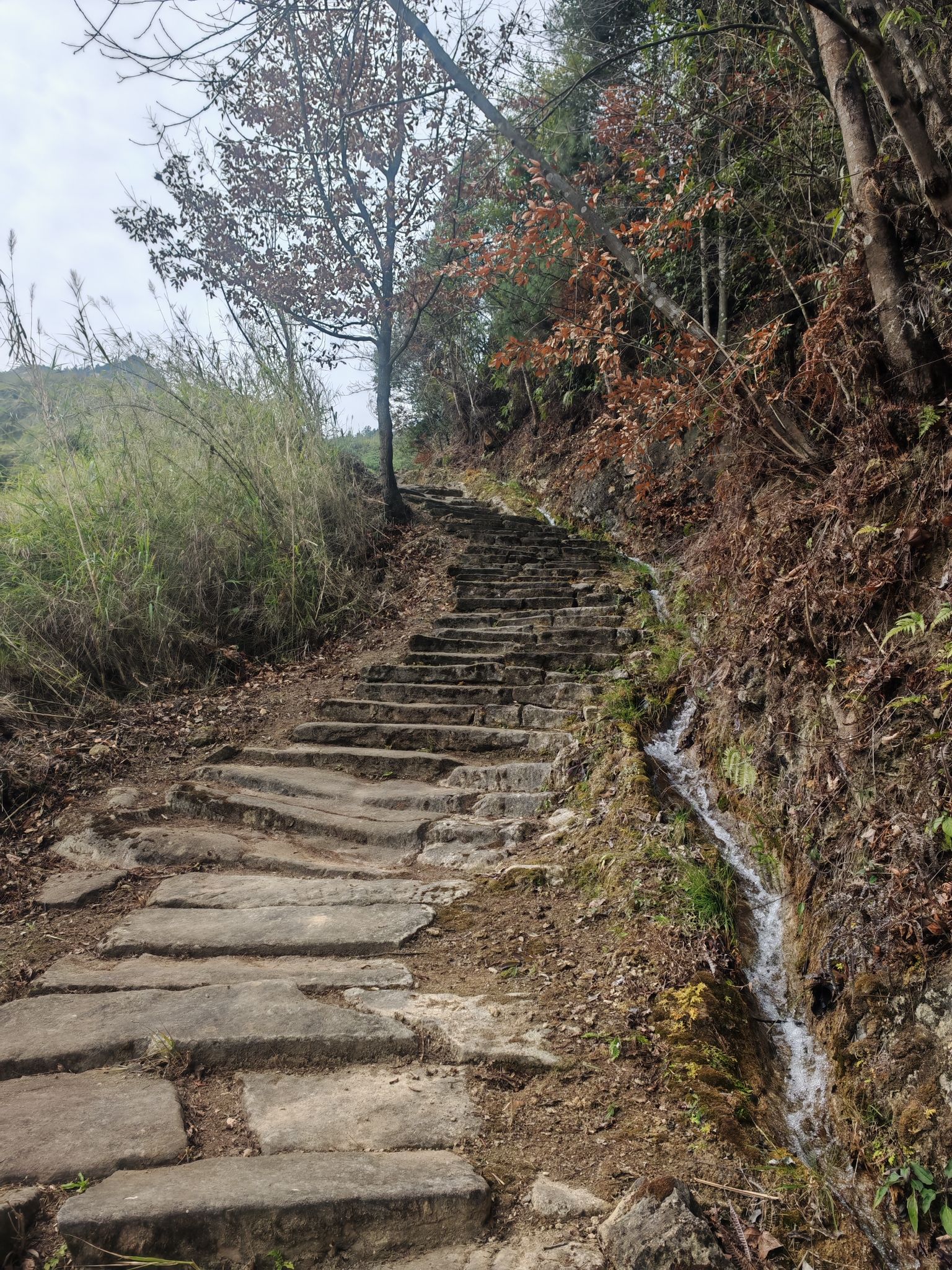 百步梯摩崖石刻旅行图片 3
