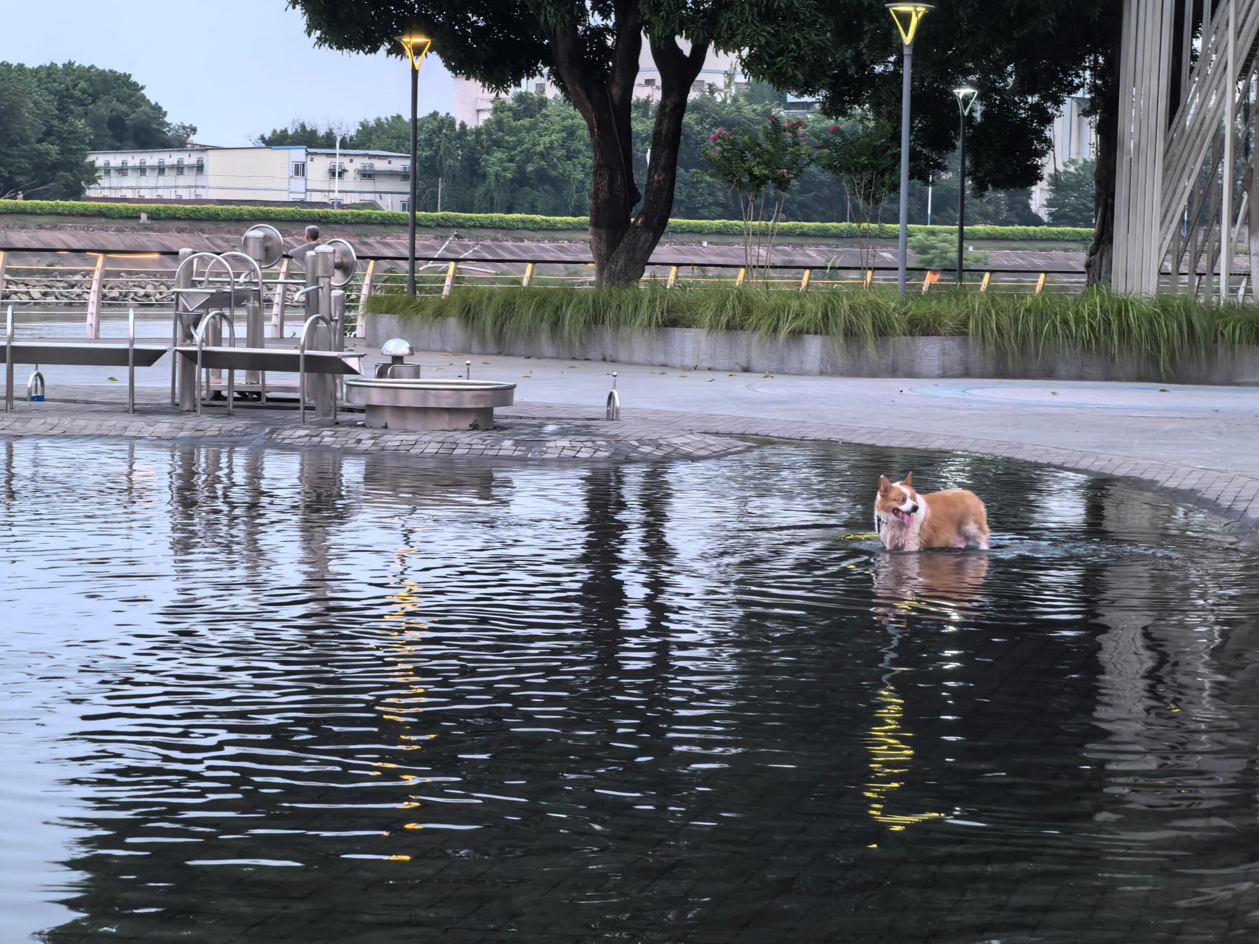 尖东公园旅行图片 2