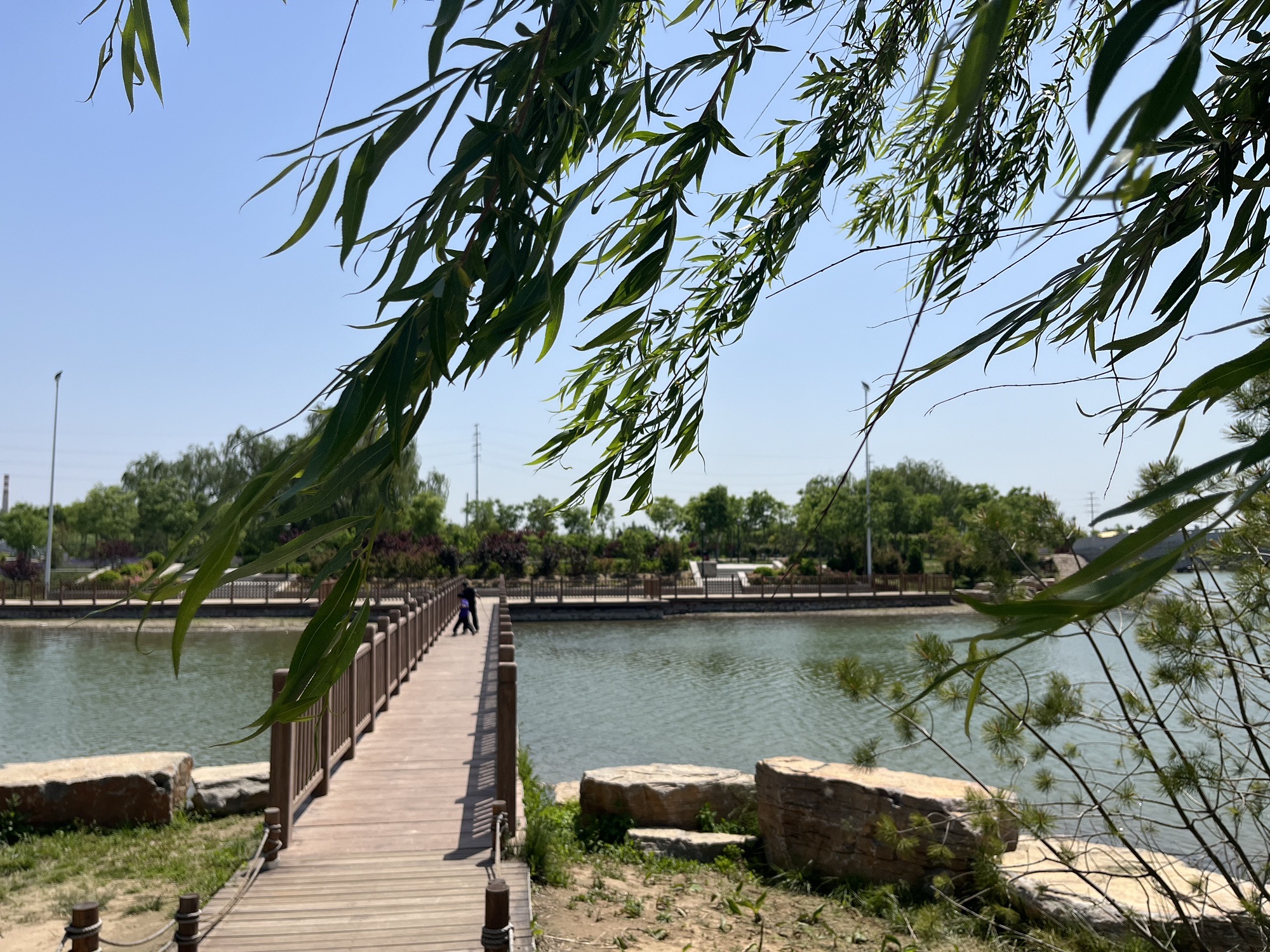 荷花湖公园旅行图片 1