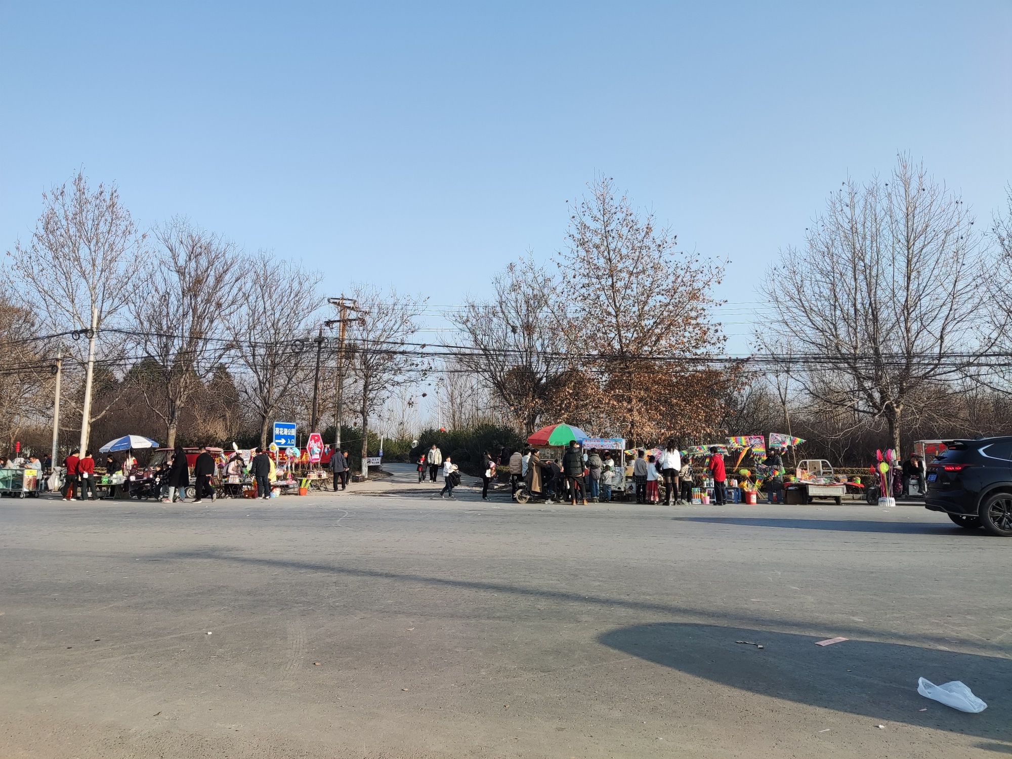 荷花湖公园旅行图片 1