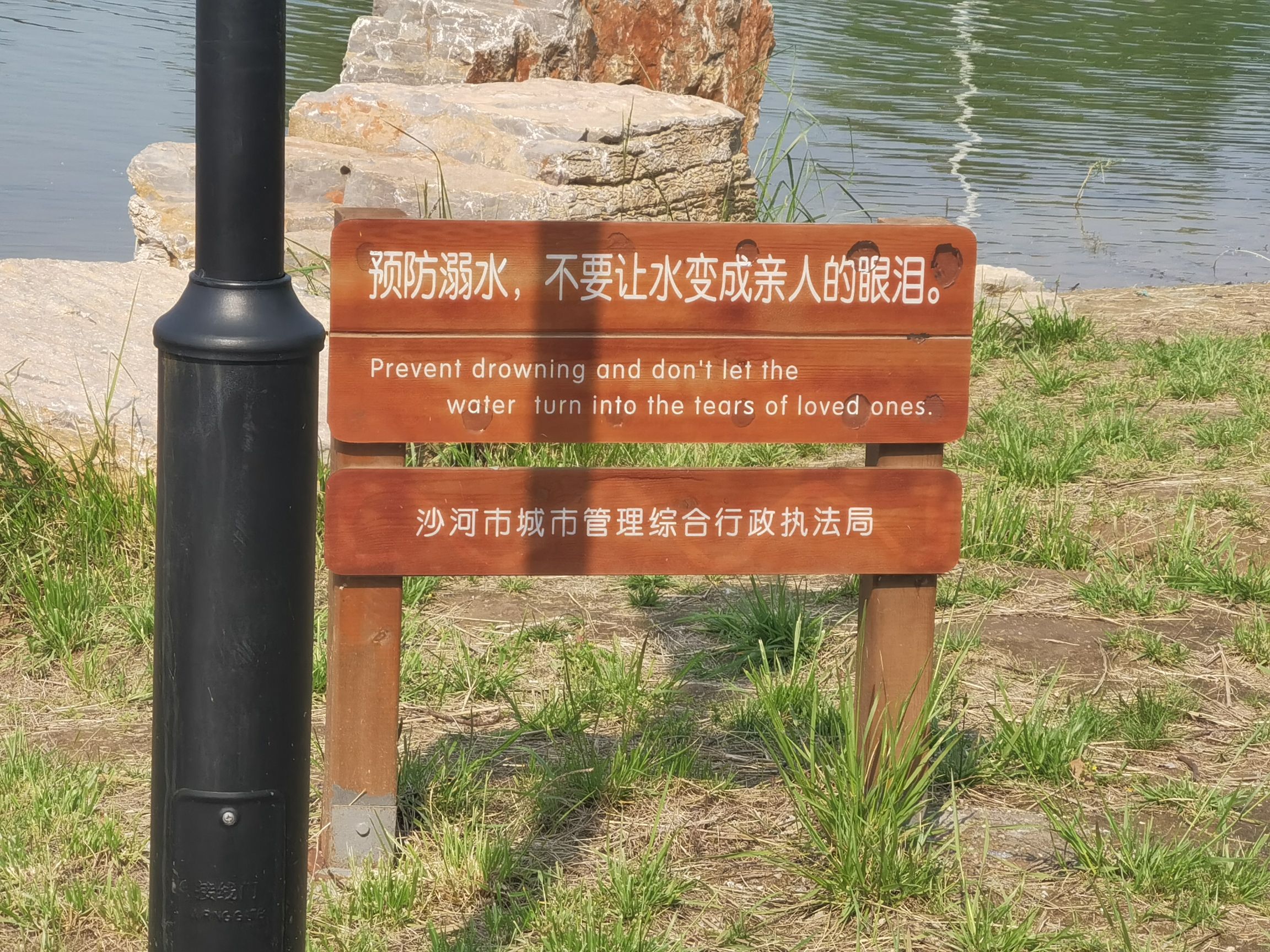荷花湖公园旅行图片 1