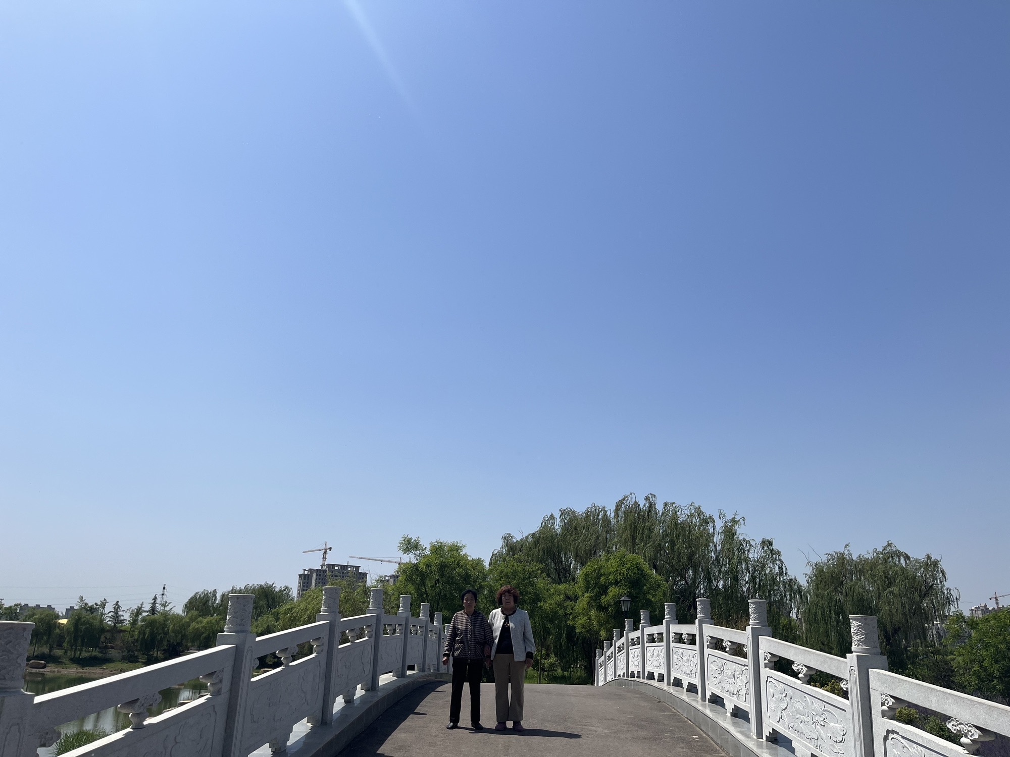 荷花湖公园旅行图片 3
