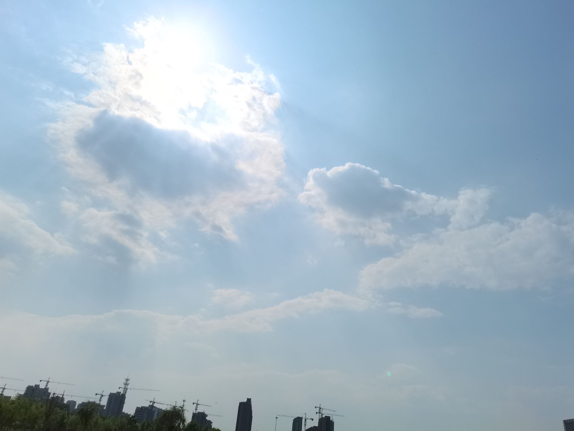 荷花湖公园旅行图片 2