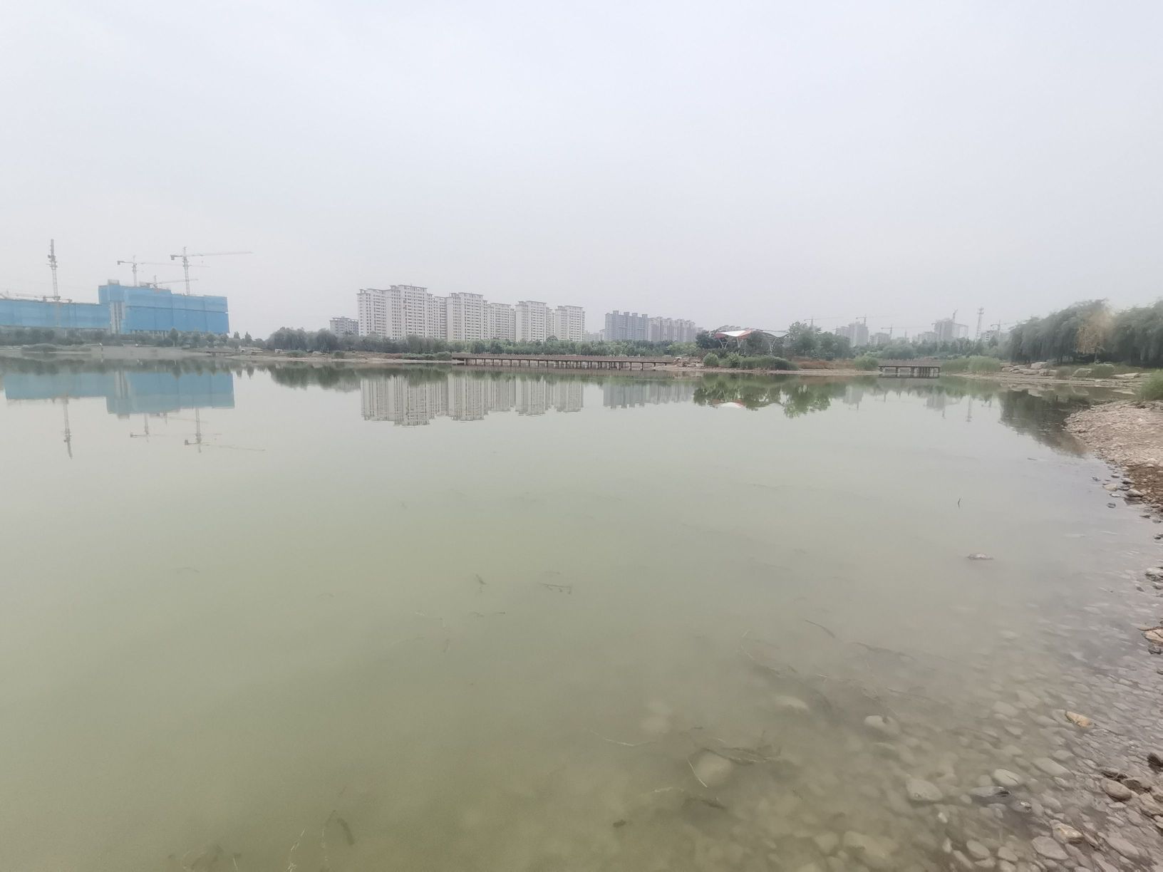 荷花湖公园旅行图片 3