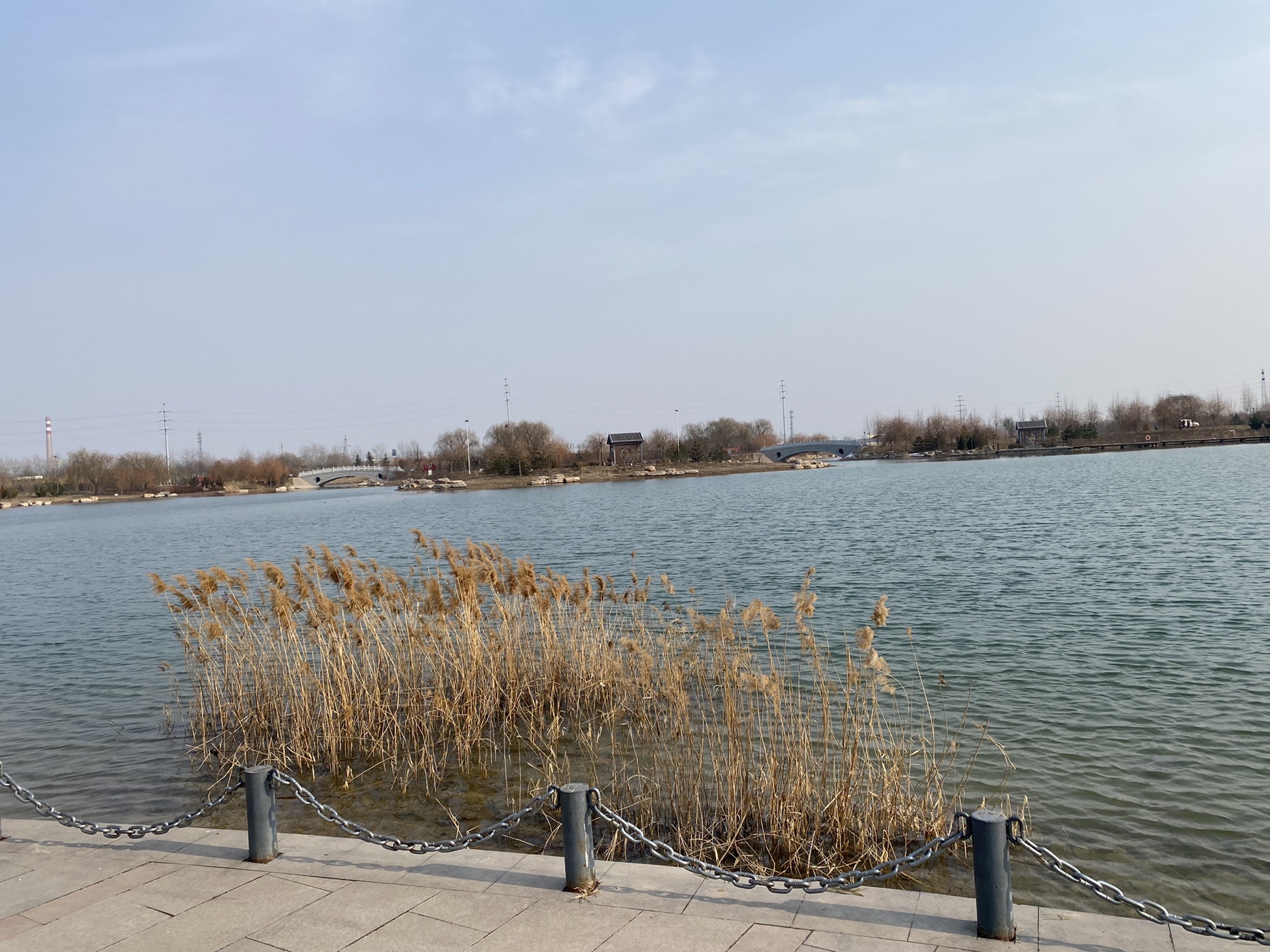 荷花湖公园旅行图片 3