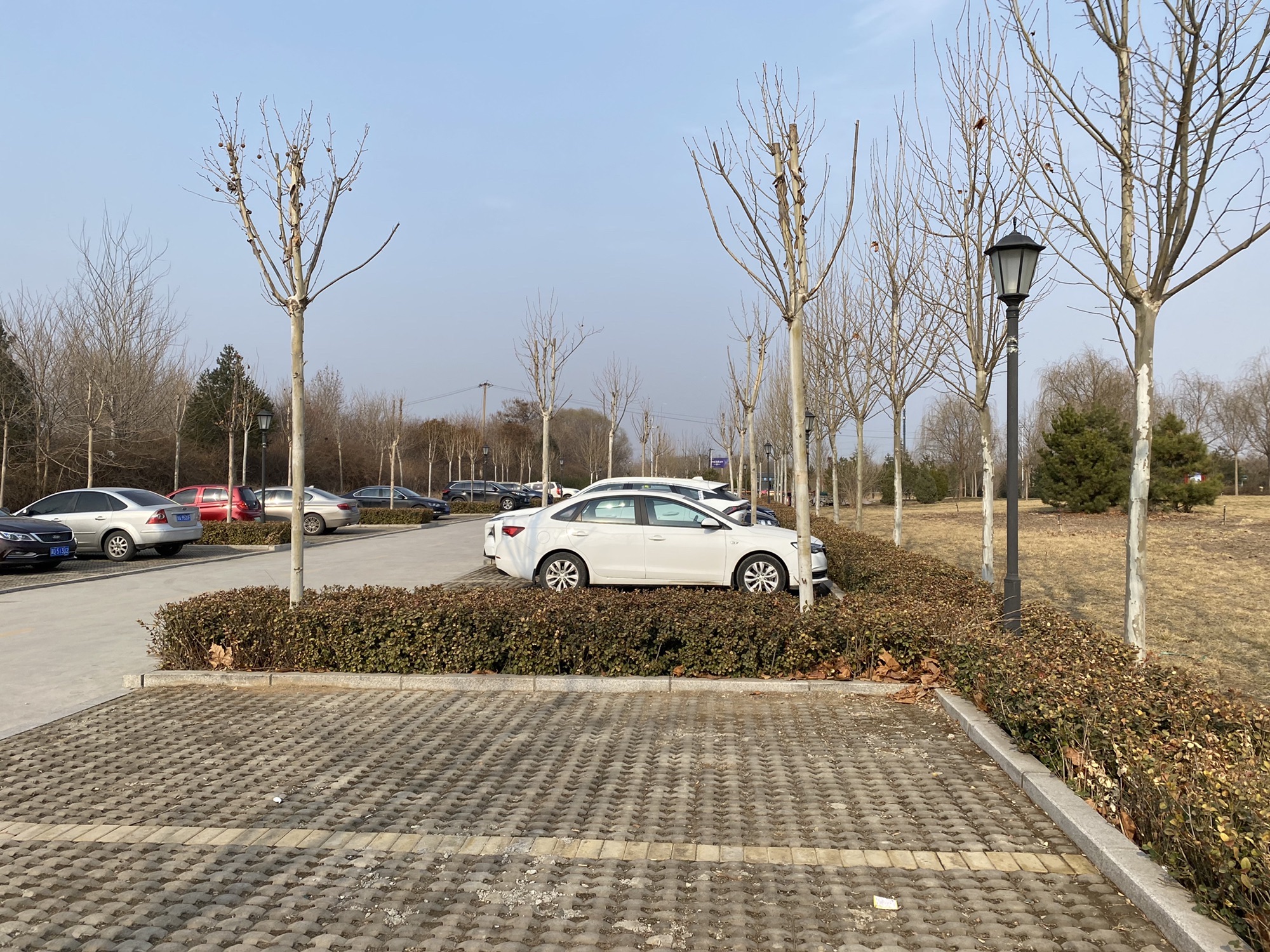 荷花湖公园旅行图片 1