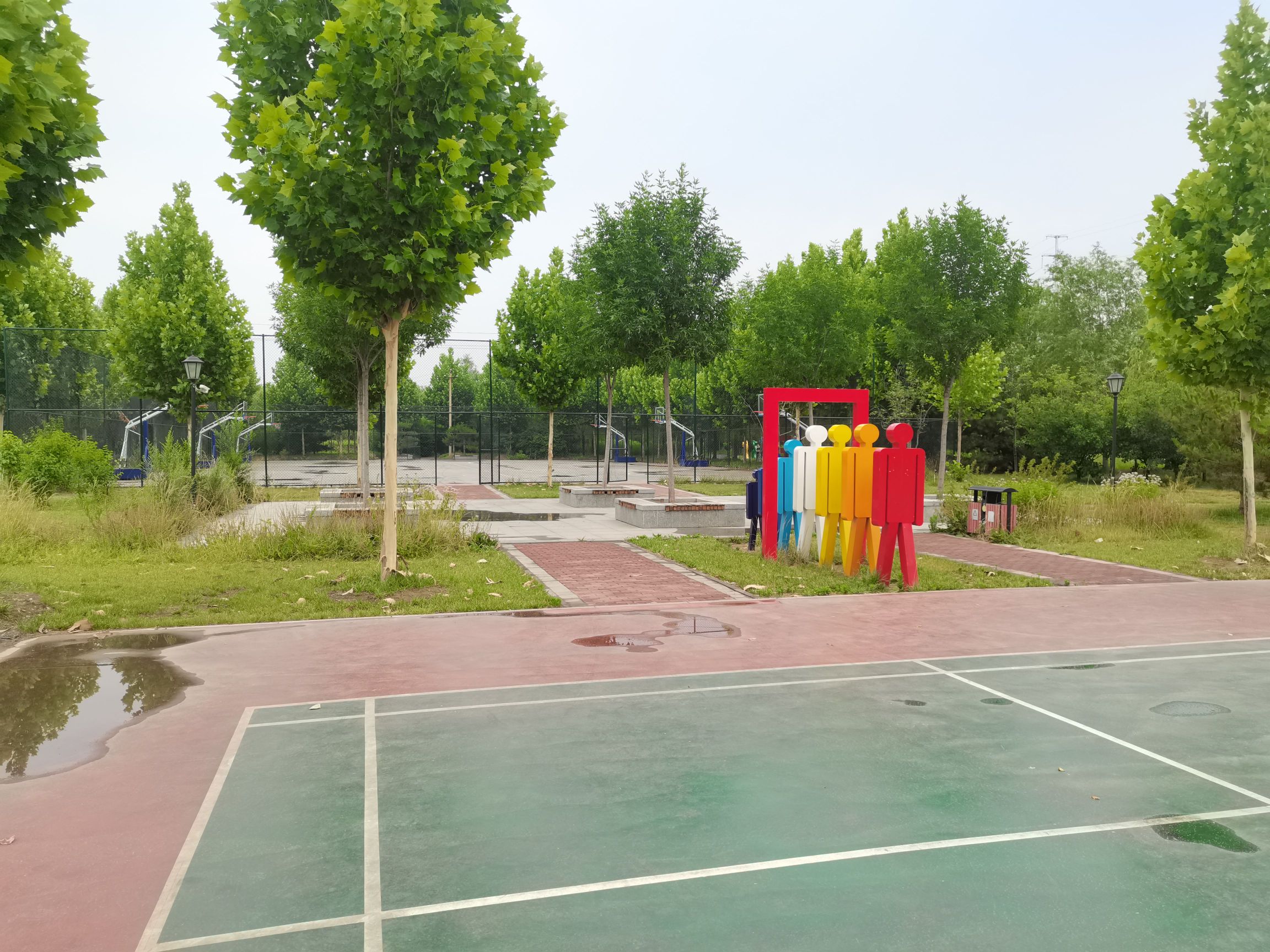 荷花湖公园旅行图片 2