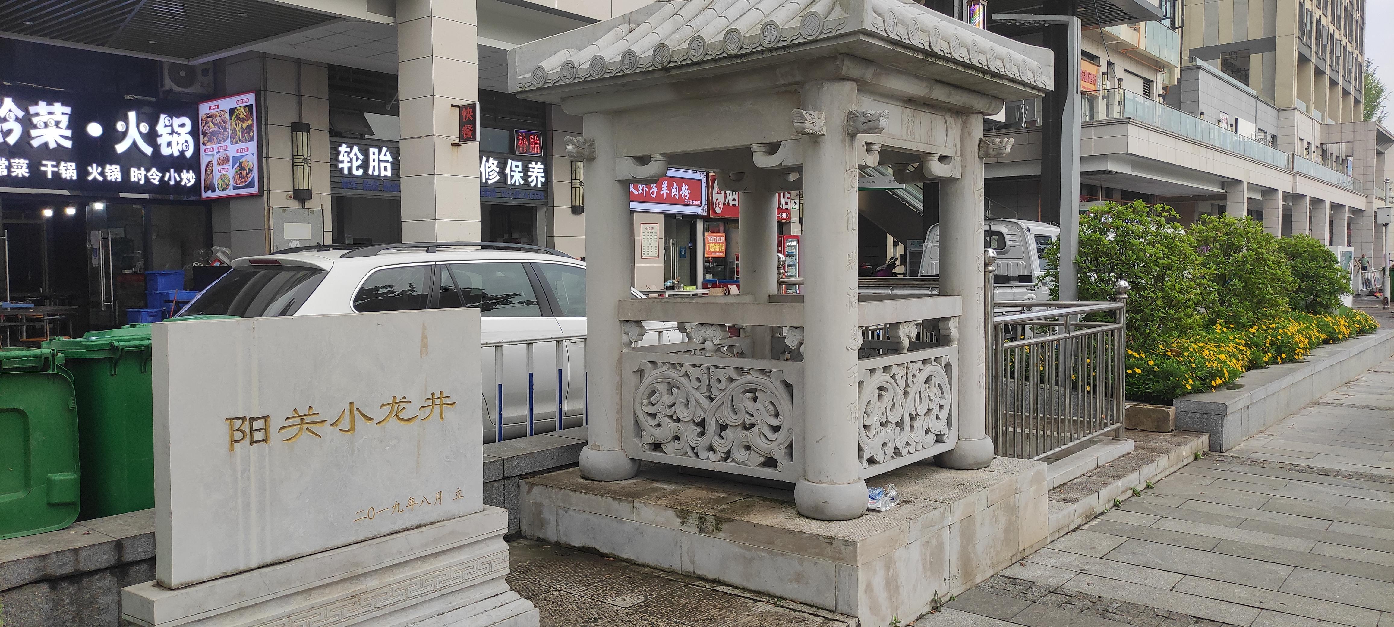 阳关小龙井旅行图片 3