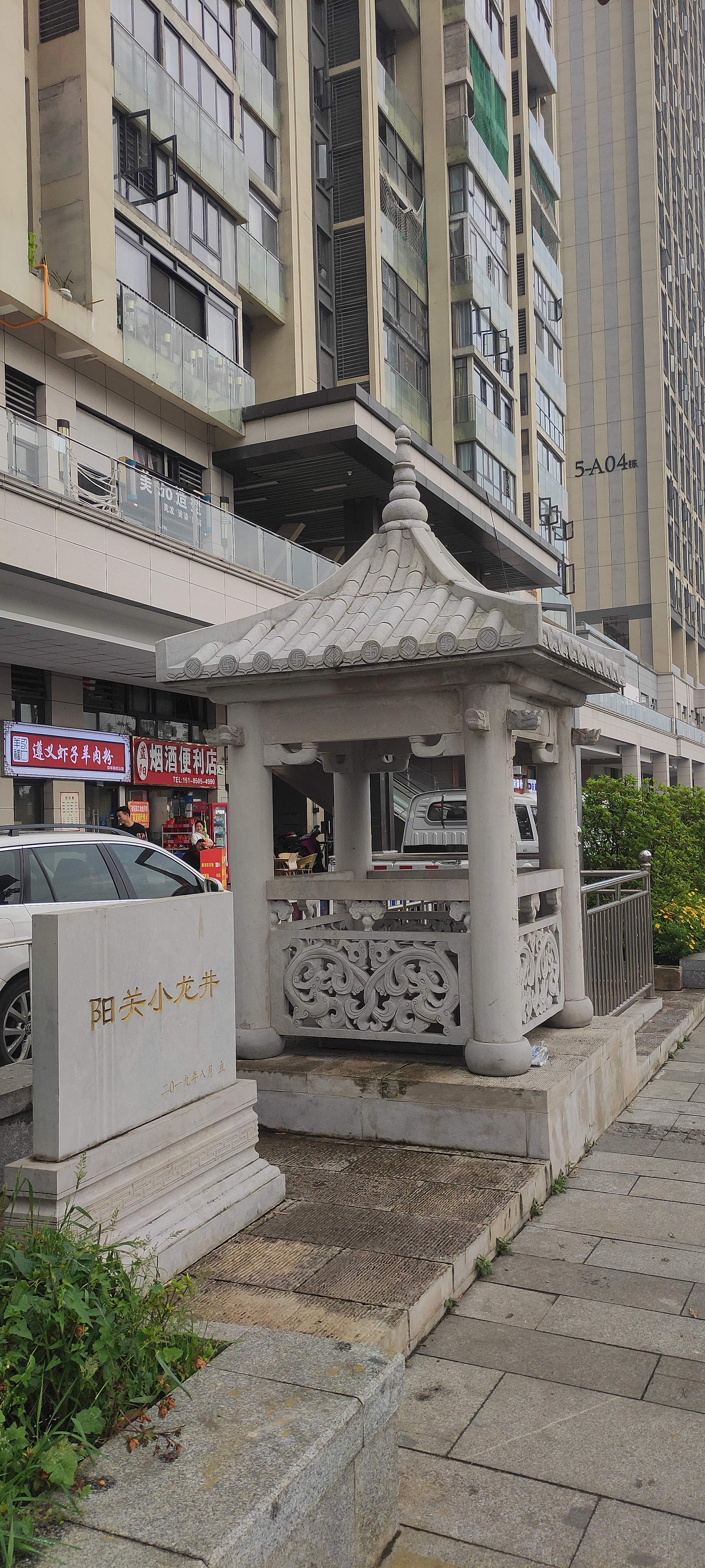 阳关小龙井旅行图片 1