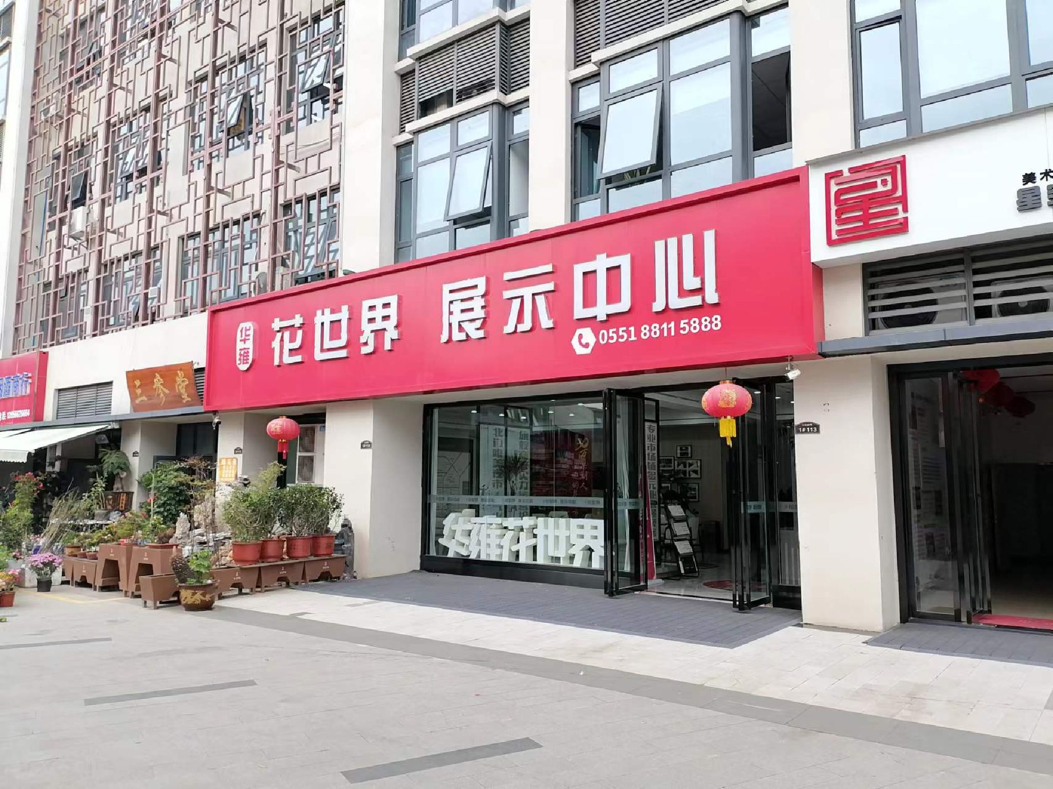 巢湖花鸟市场