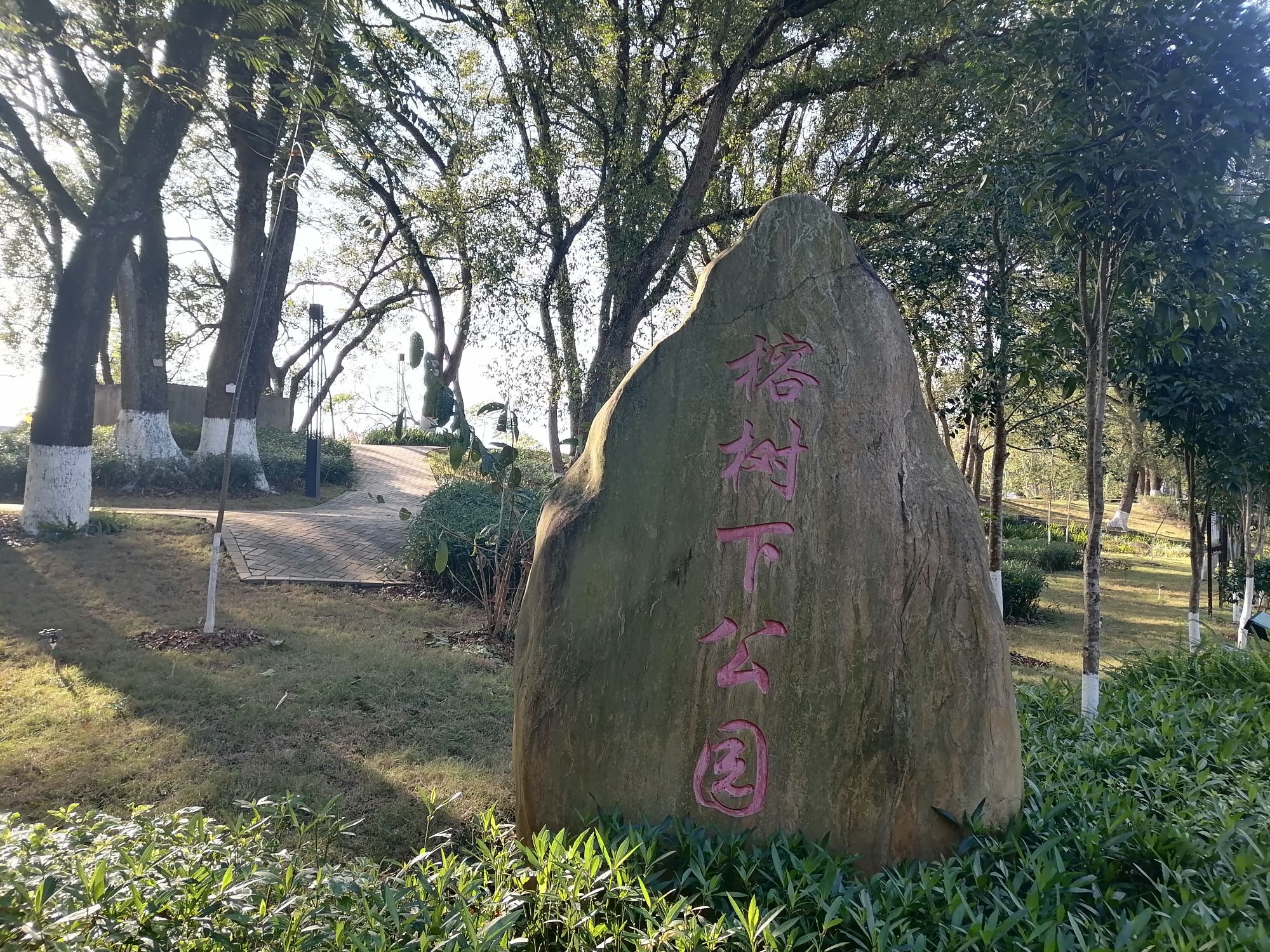 榕树下公园旅行图片 1