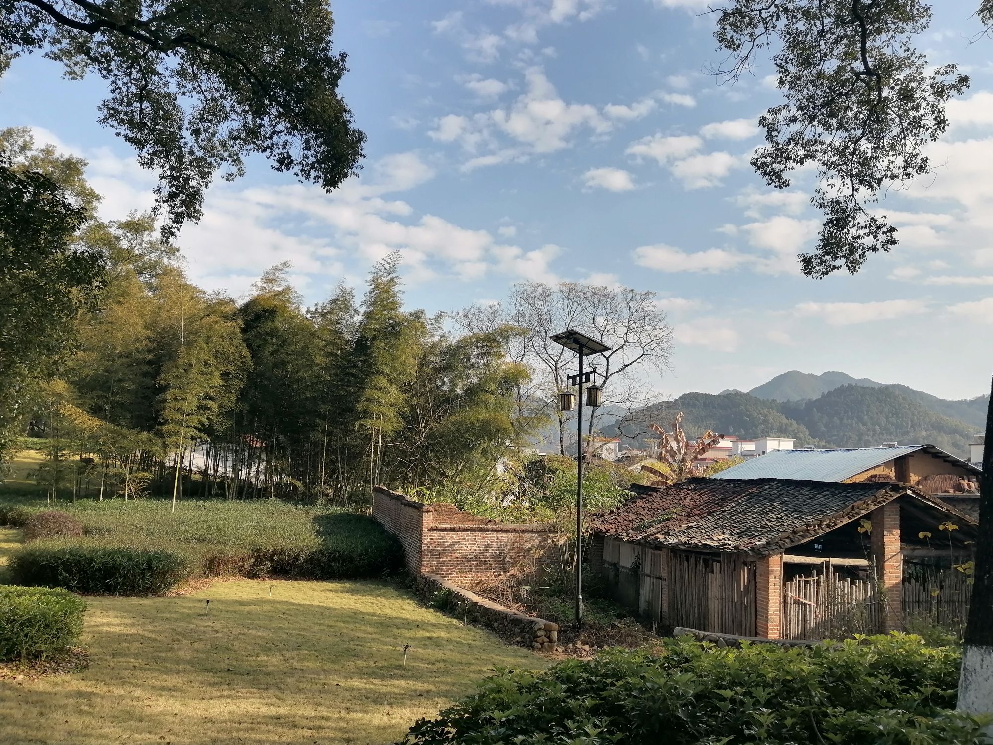 榕树下公园旅行图片 3