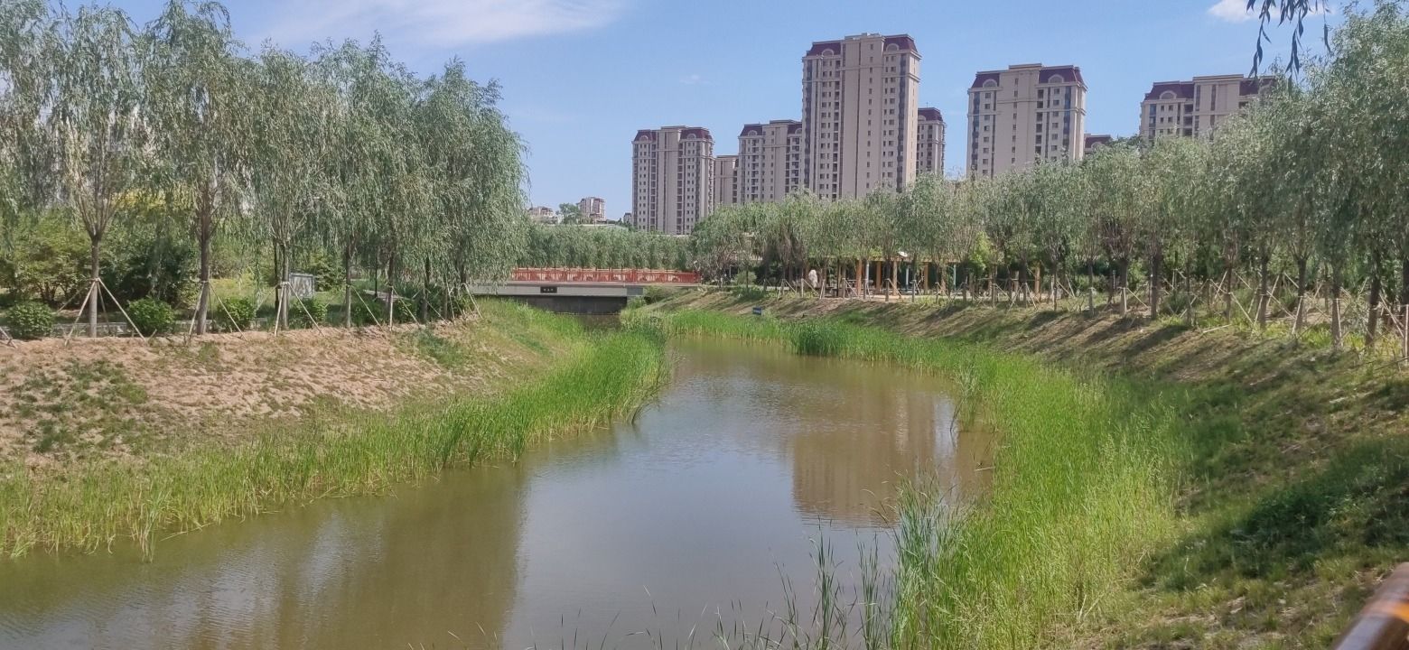 龙潭公园旅行图片 1