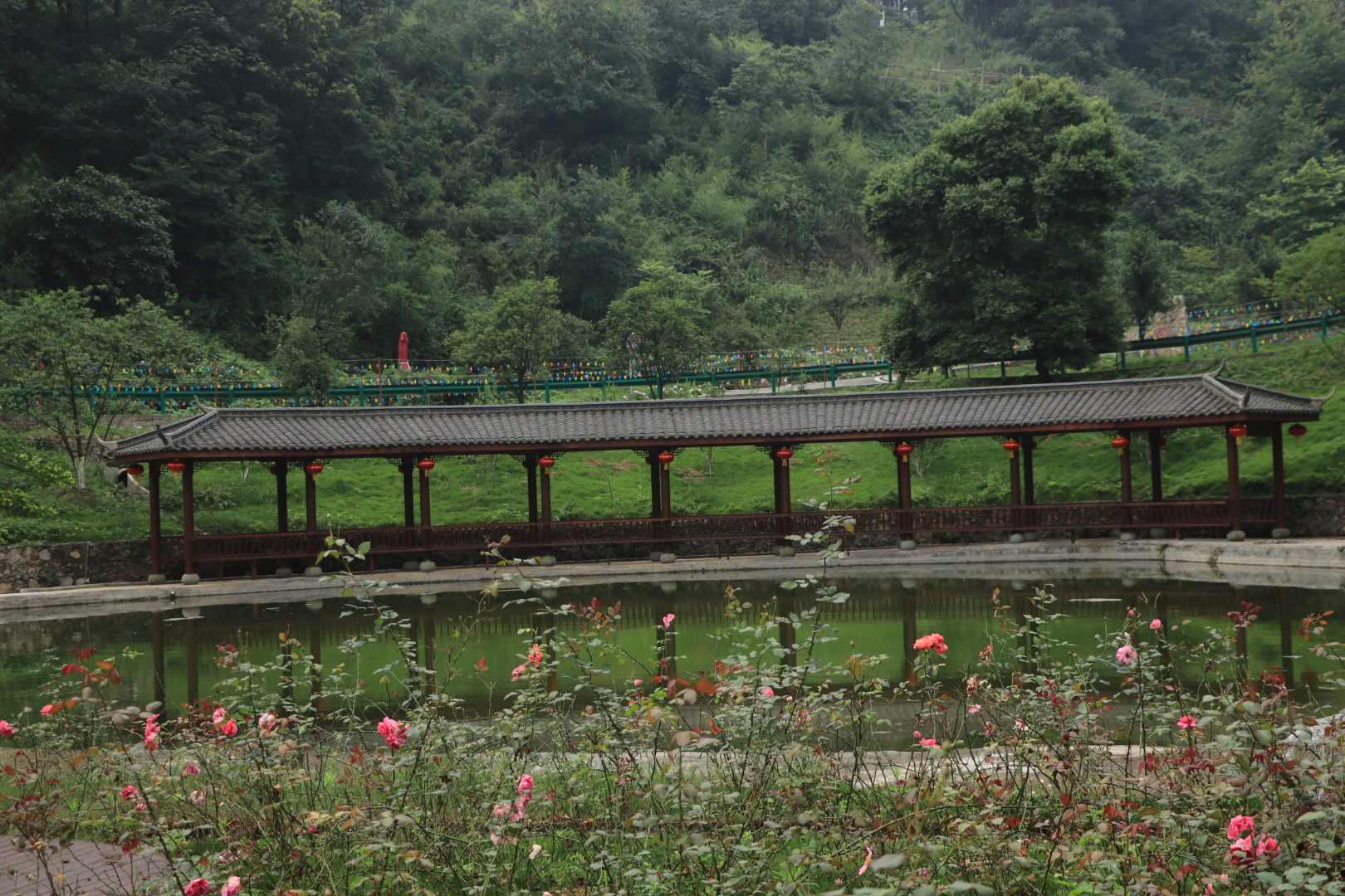 月亮缘婚俗文化旅游区旅行图片 2