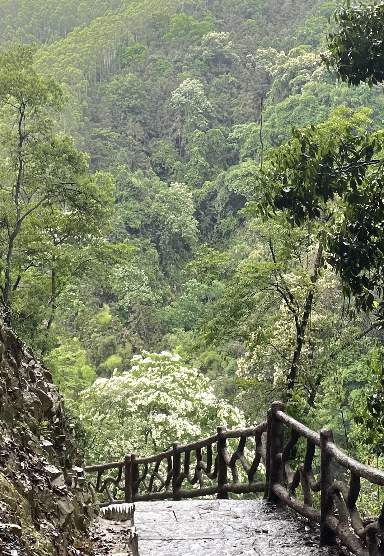 仙湖洞旅行图片 3