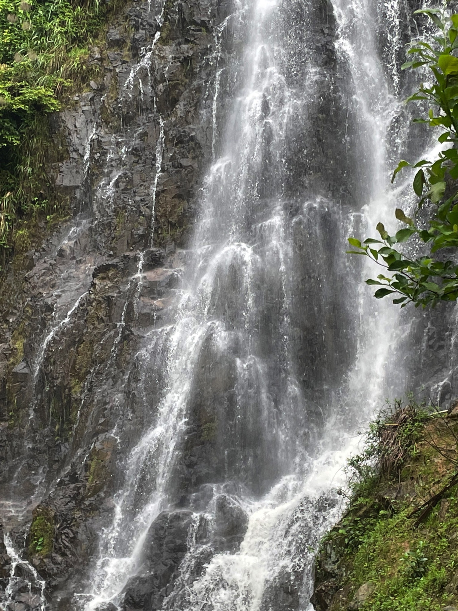 仙湖洞旅行图片 1