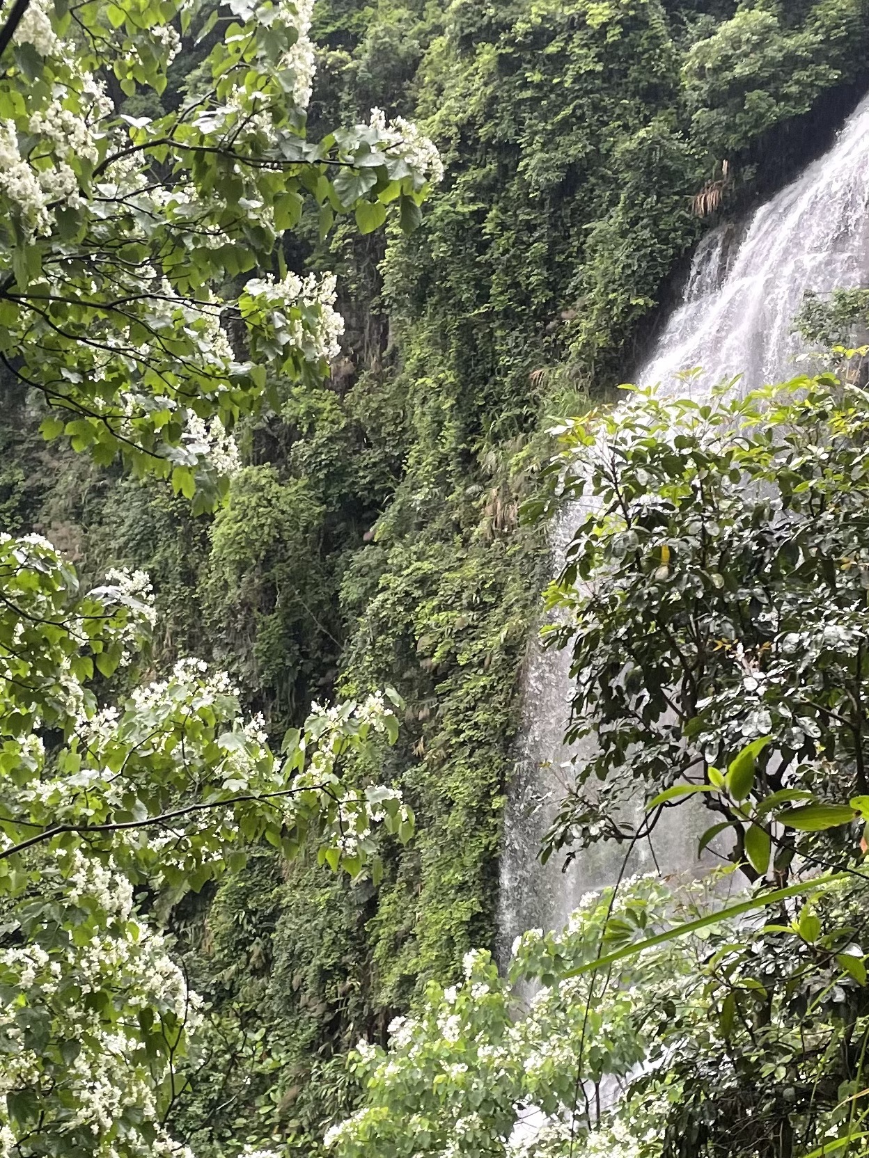 仙湖洞旅行图片 2