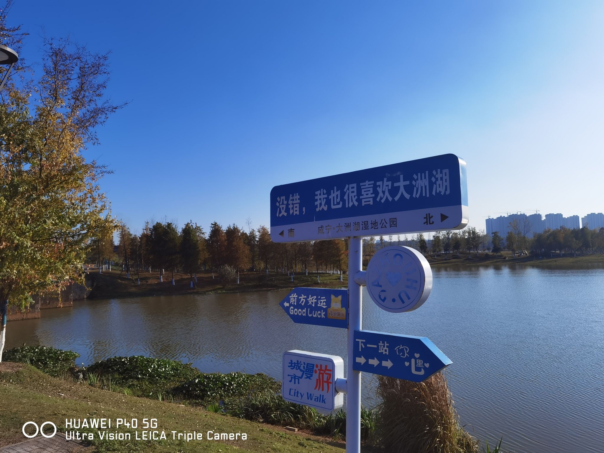 大洲湖湿地公园