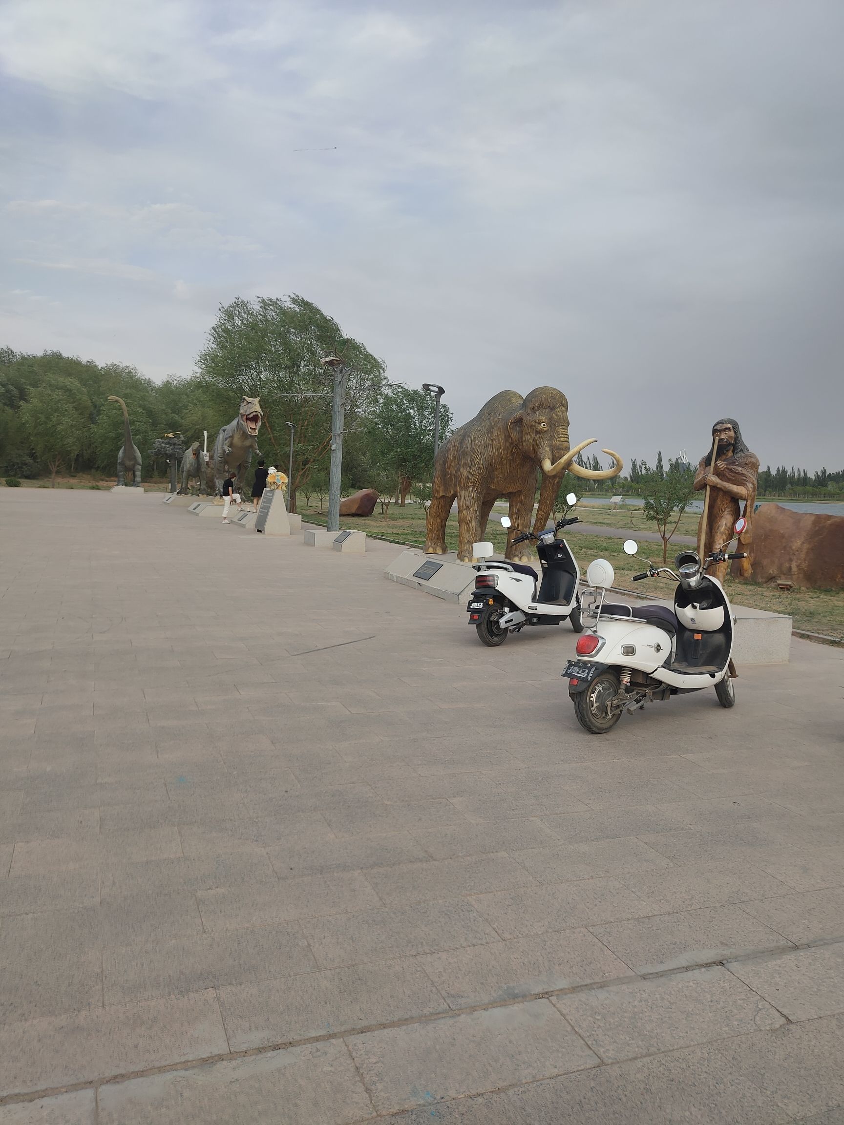 磴口县南湖公园旅行图片 3