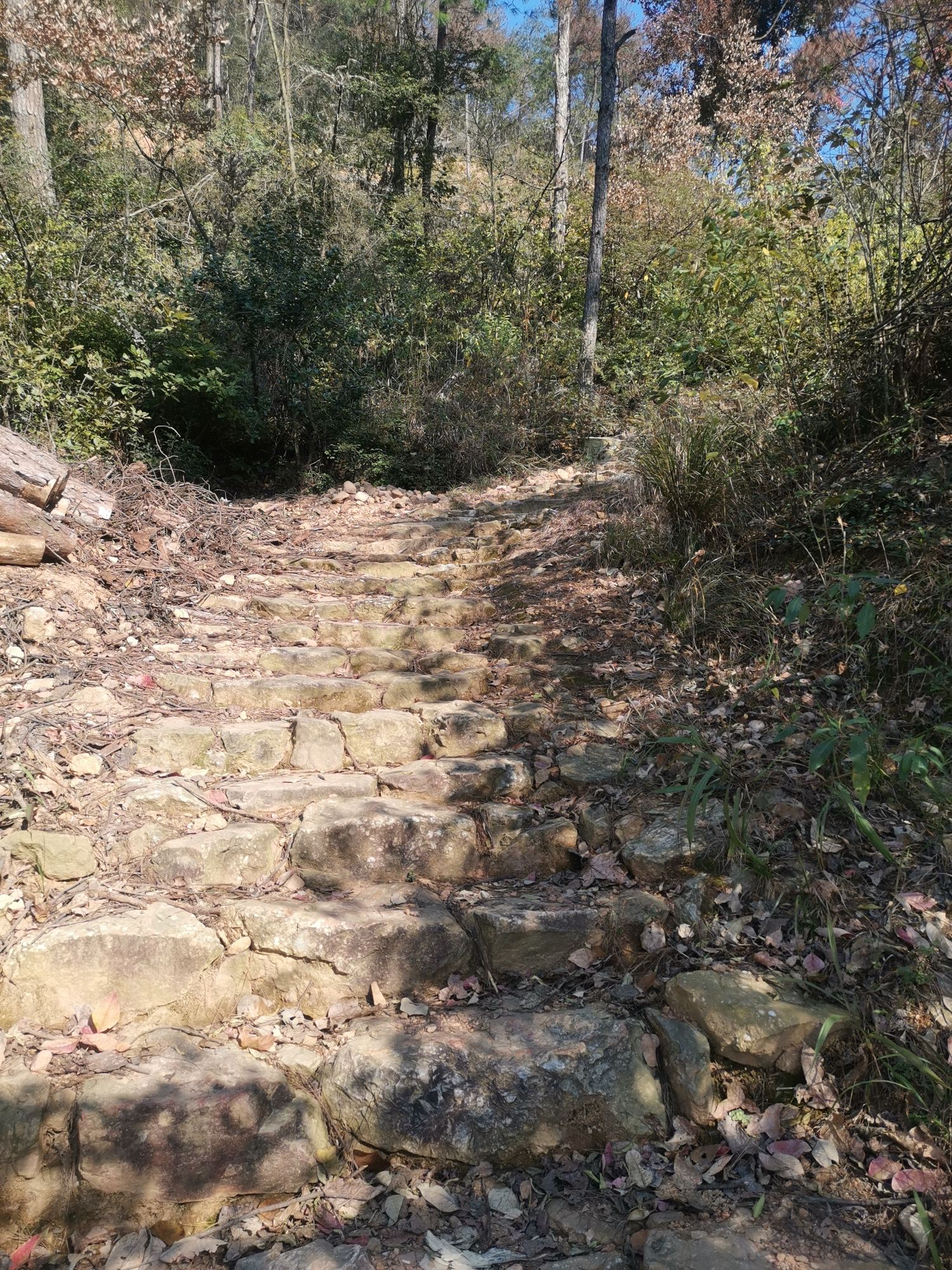 杨洞坑古道旅行图片 1