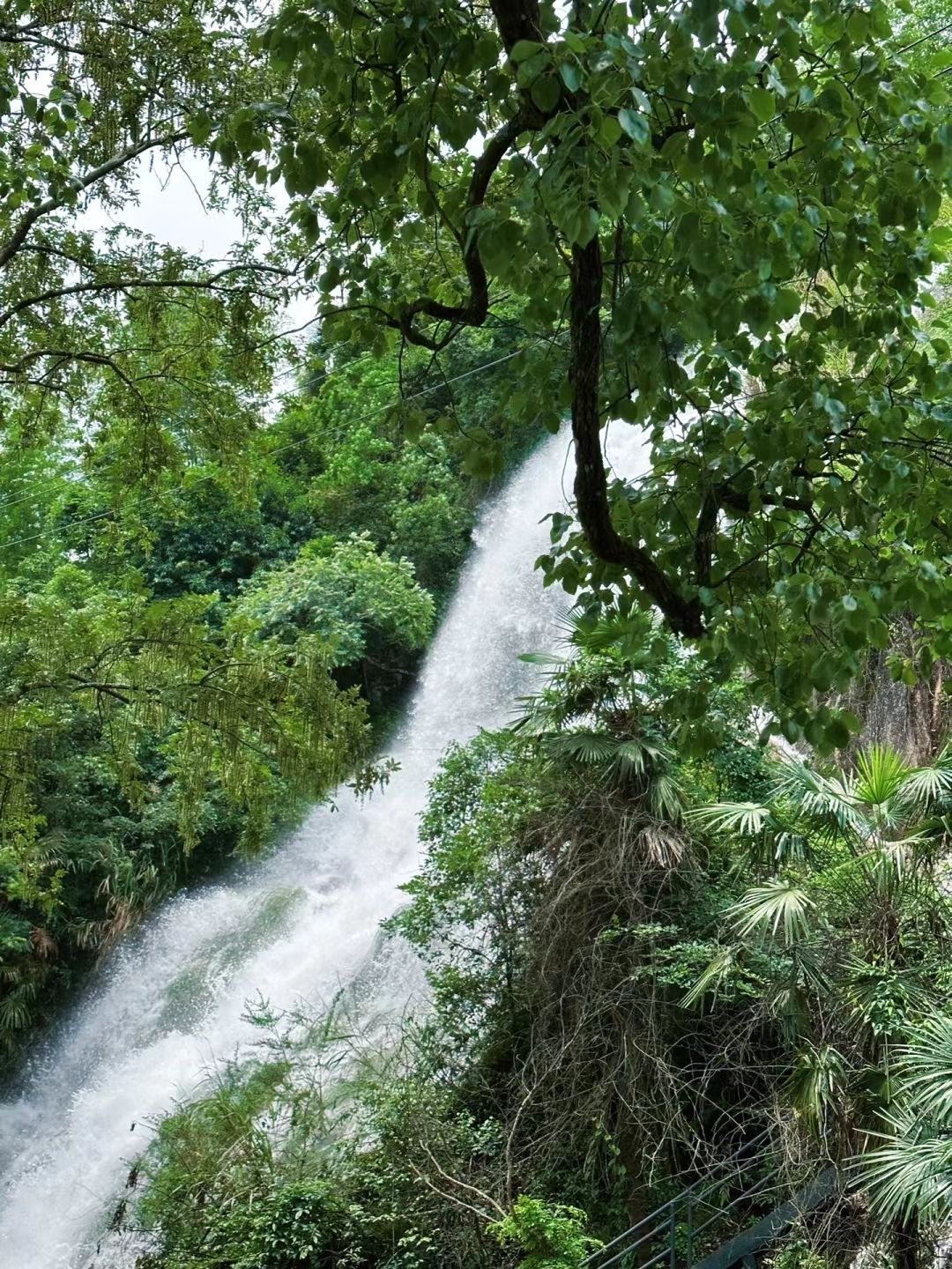 五府山湿地公园旅行图片 2