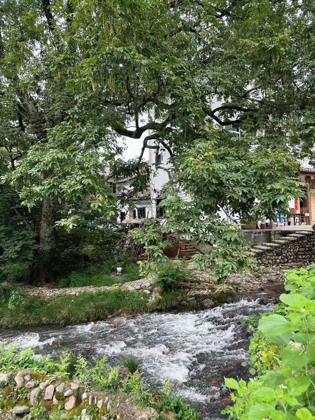 五府山湿地公园旅行图片 3