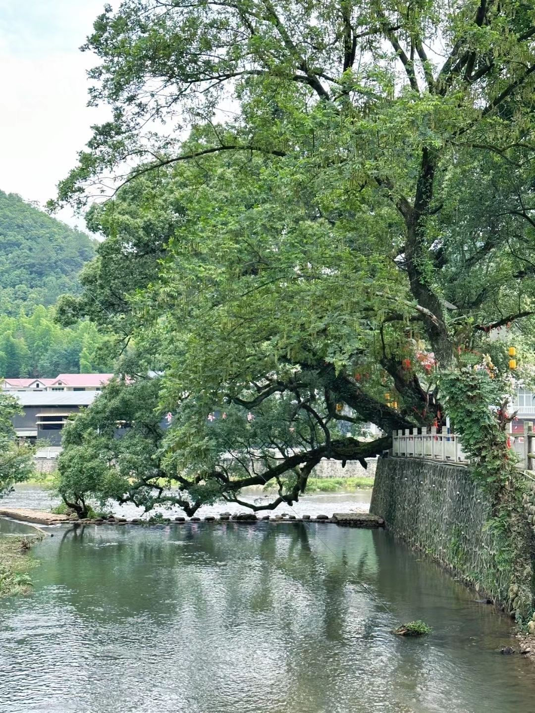 五府山湿地公园旅行图片 1