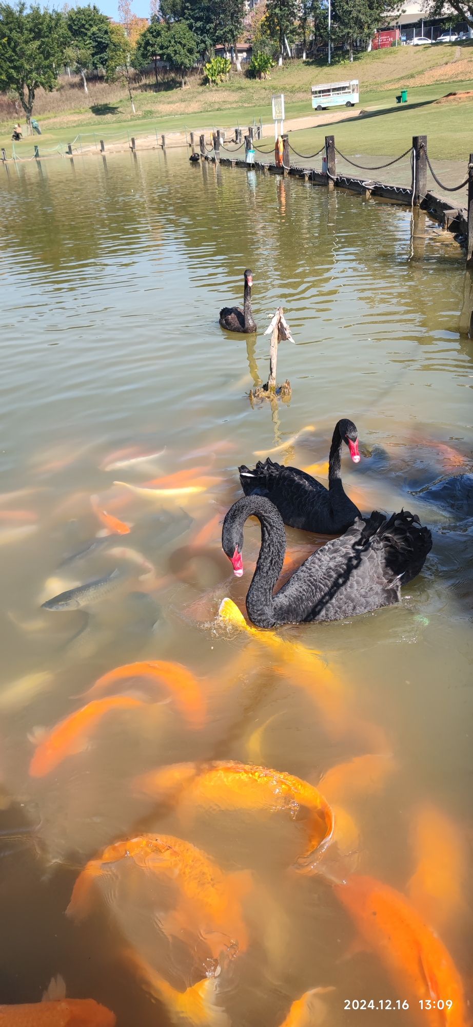 紫金湖旅行图片 3