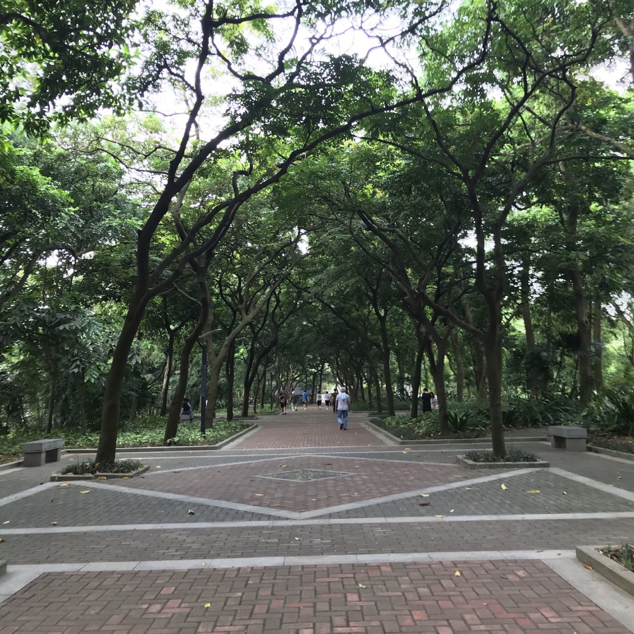 未来公园旅行图片 2