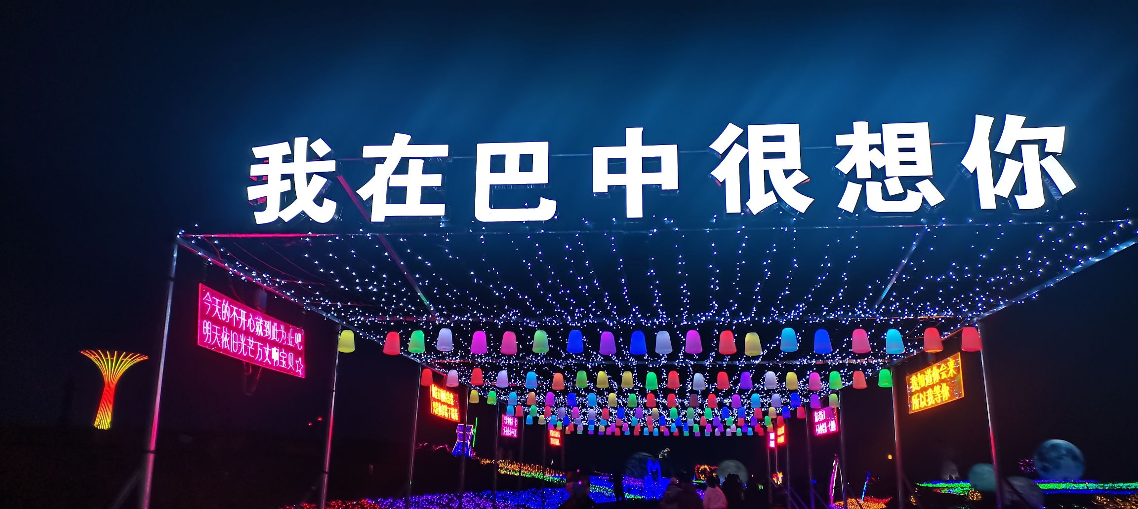 空港花田景区旅行图片 1