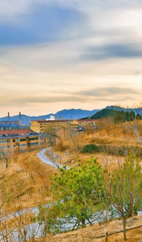 石景山区炮山城市森林公园旅行图片 3