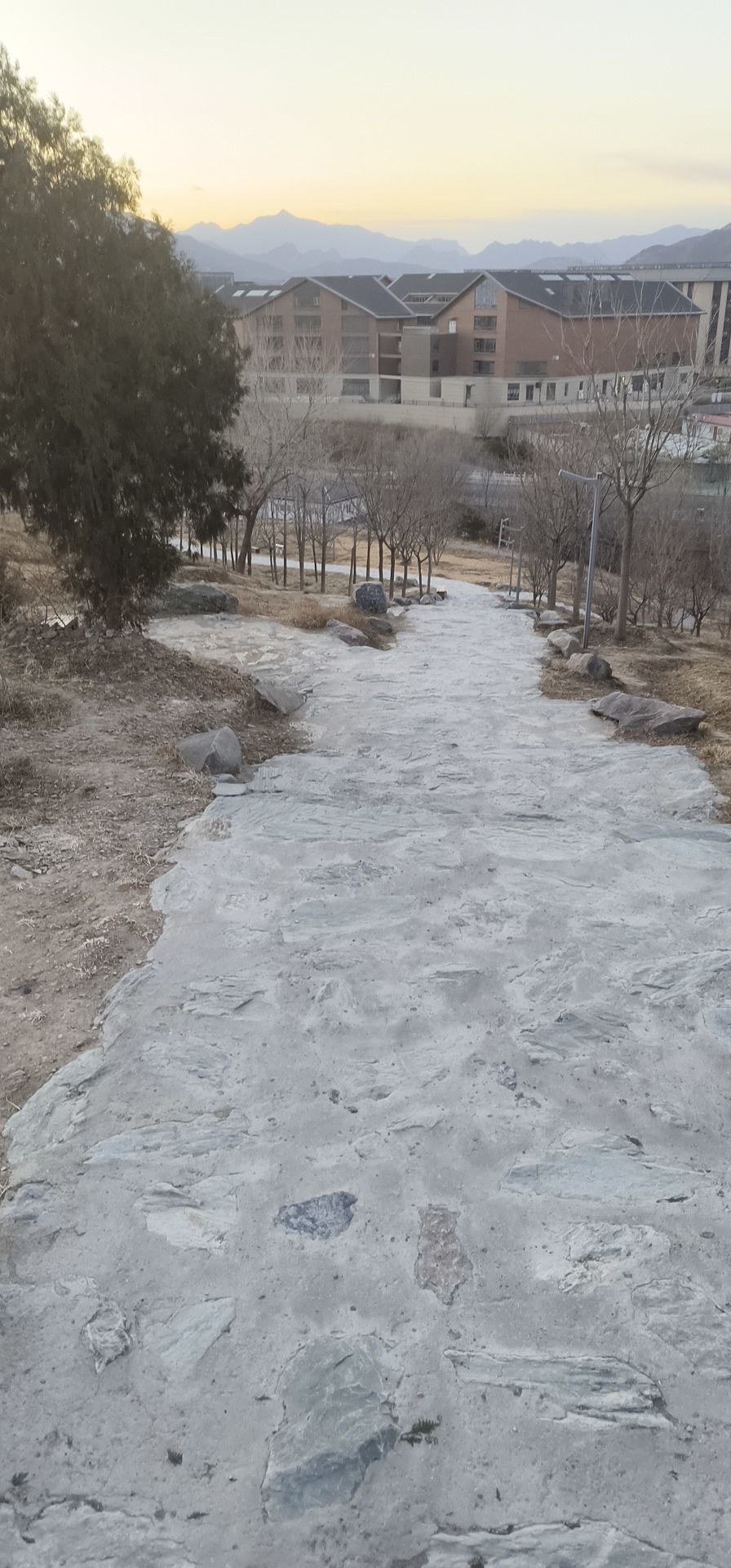 石景山区炮山城市森林公园旅行图片 1