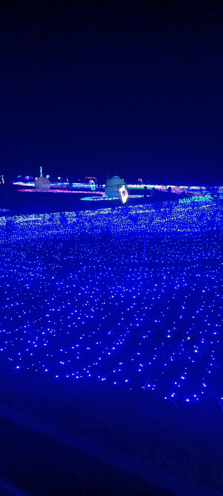 空港花田景区旅行图片 1