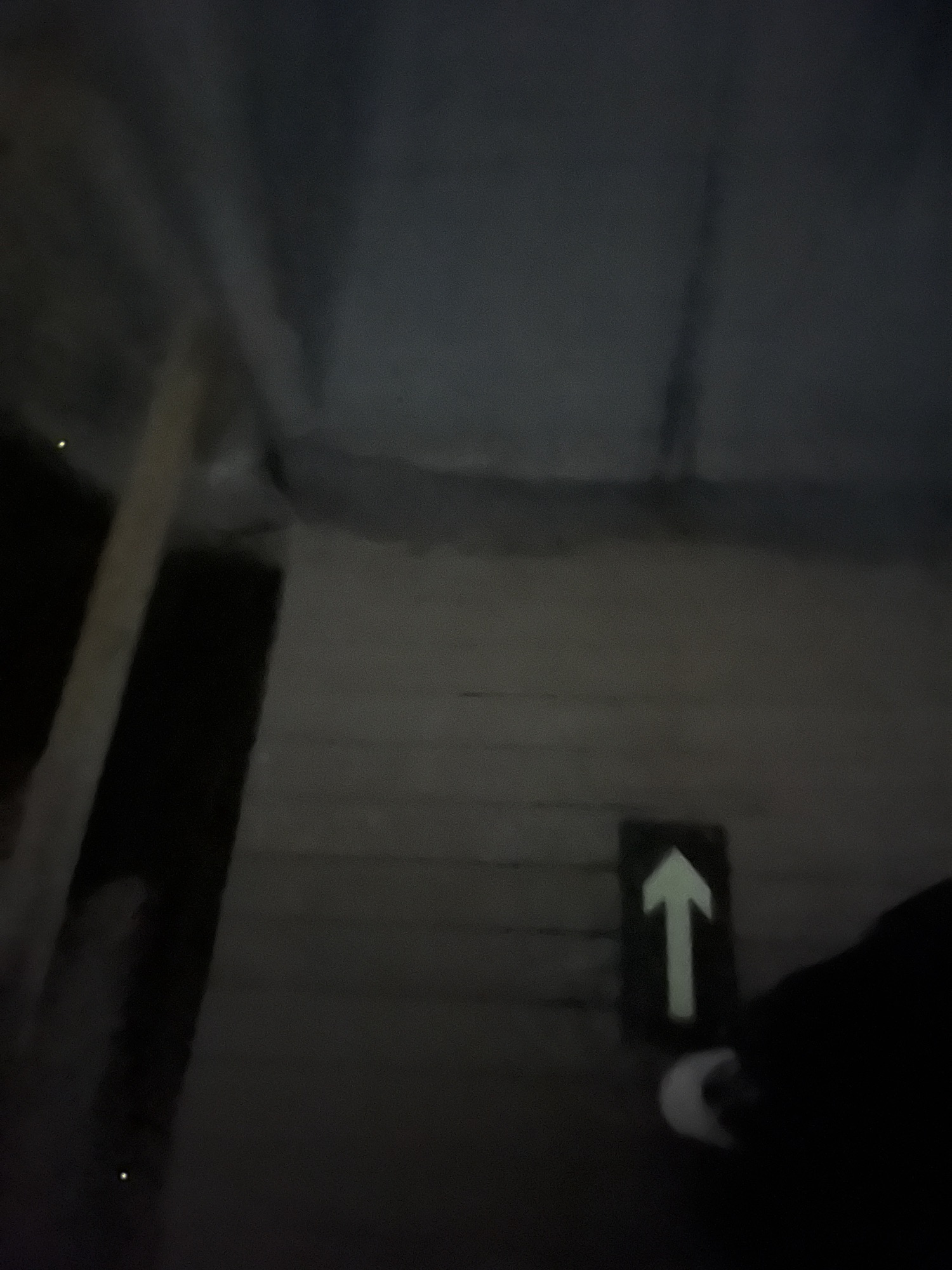 长阳萤火虫生态园旅行图片 2